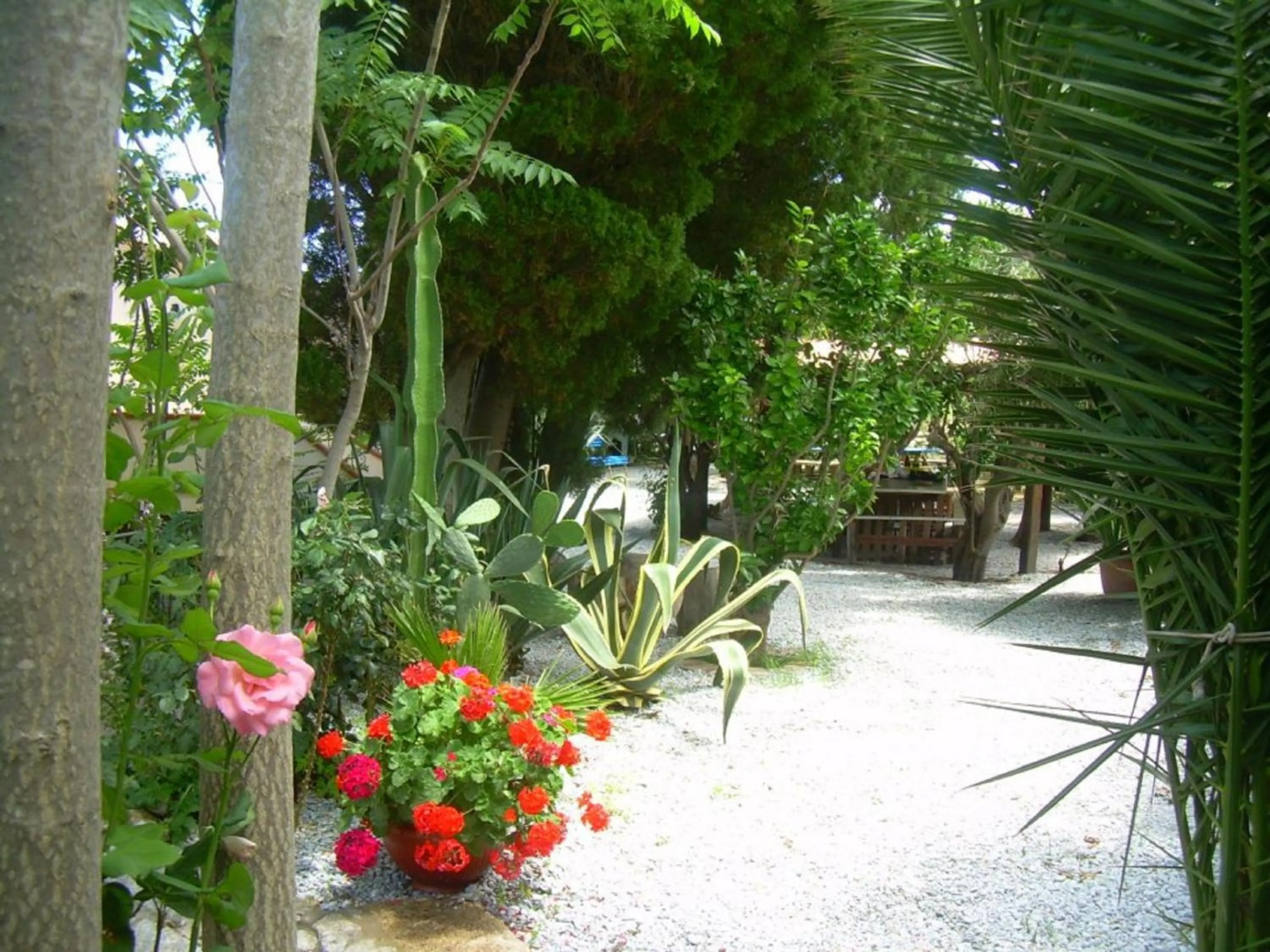 Garden in Appartamenti Pousada Michelino