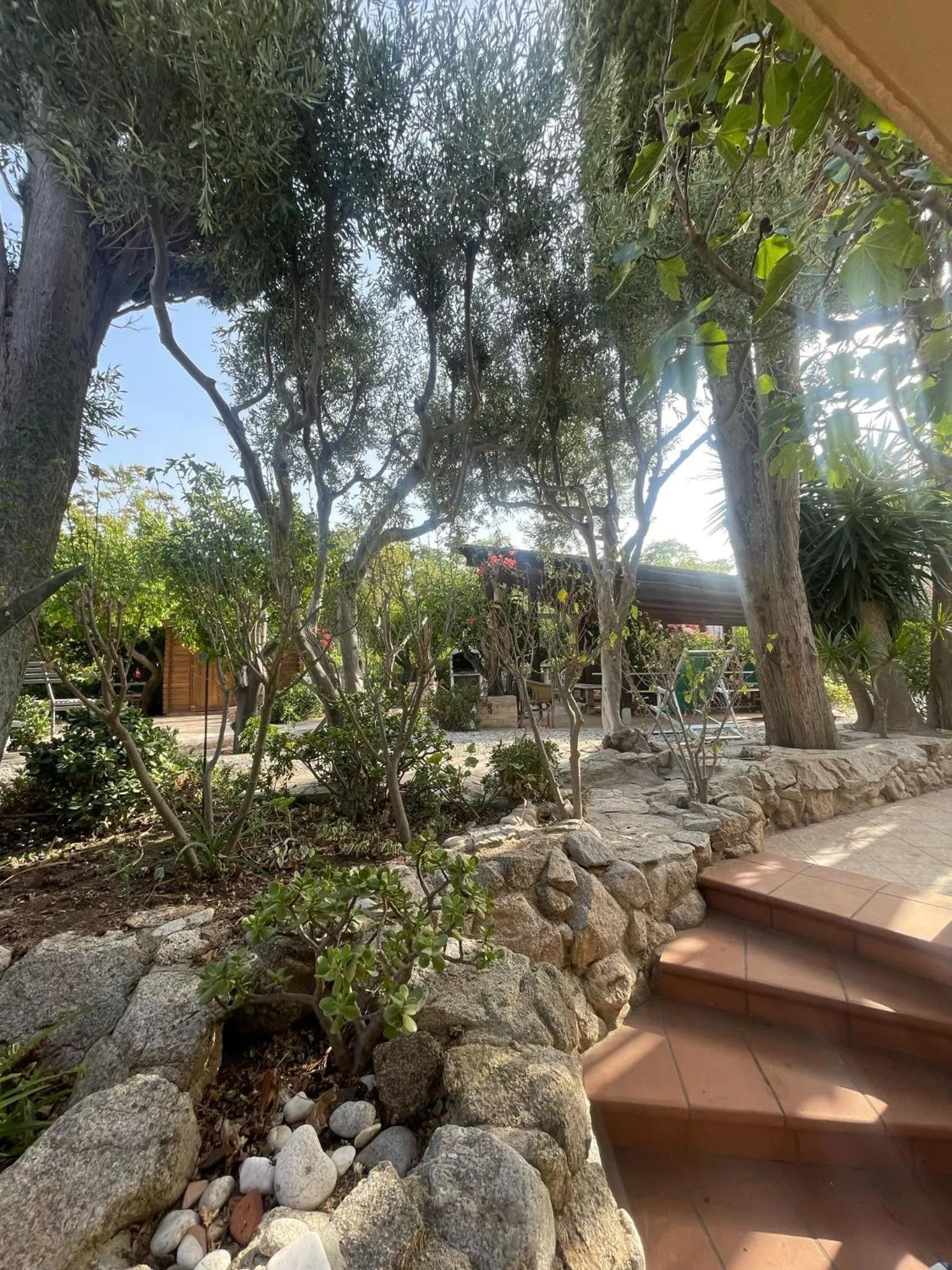 Garden in Appartamenti Pousada Michelino