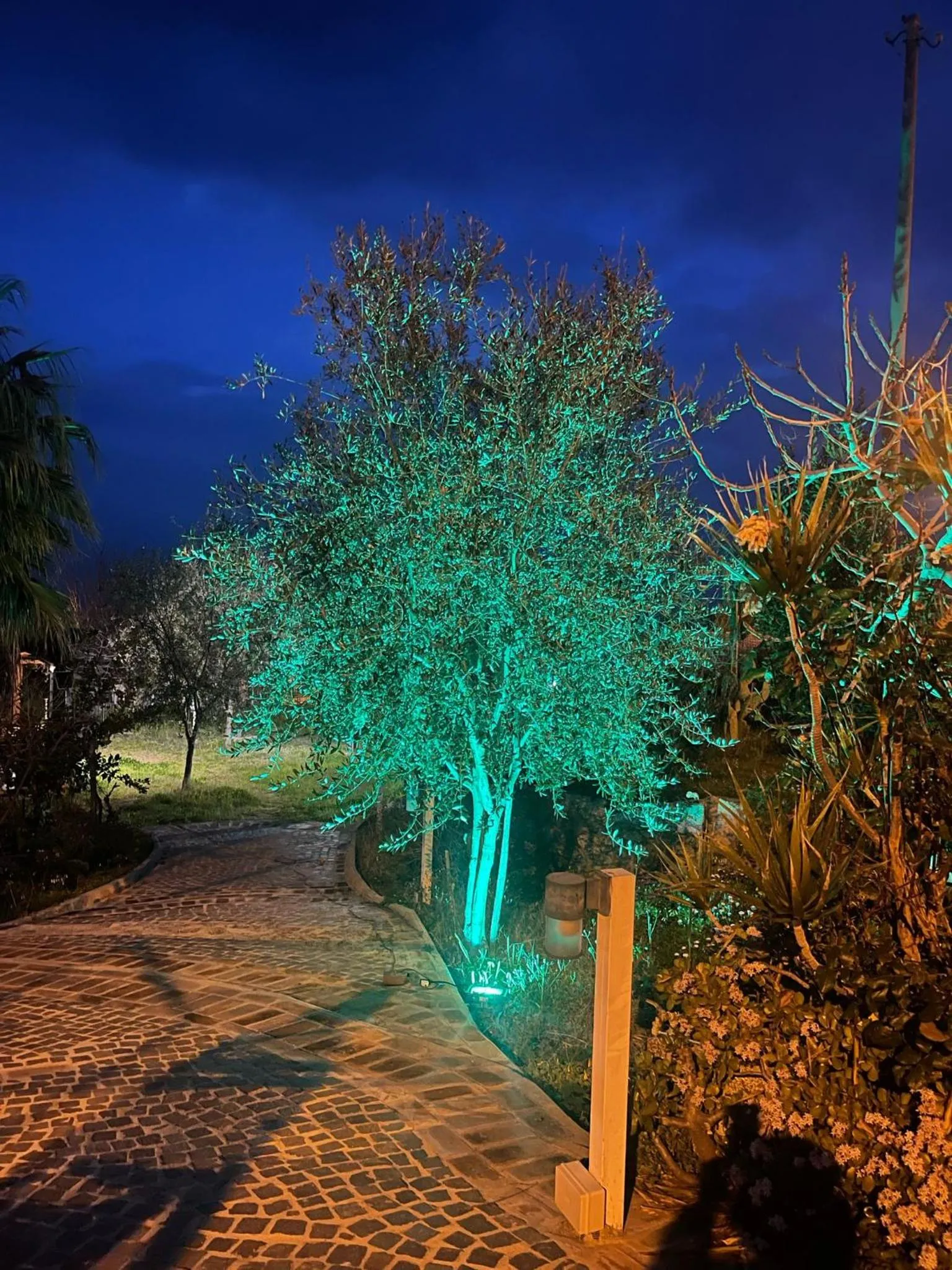 Garden in Appartamenti Pousada Michelino