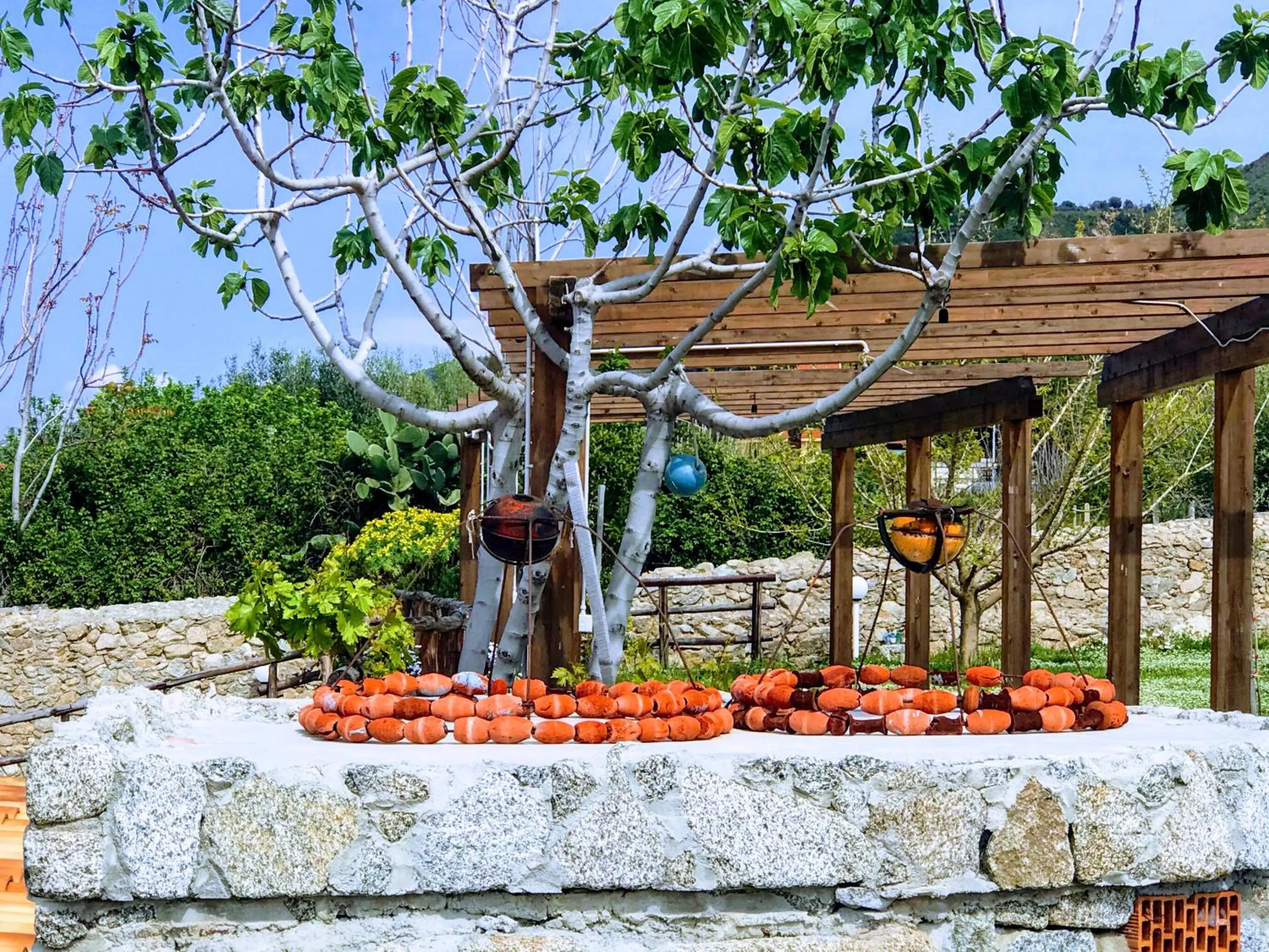 Garden in Appartamenti Pousada Michelino