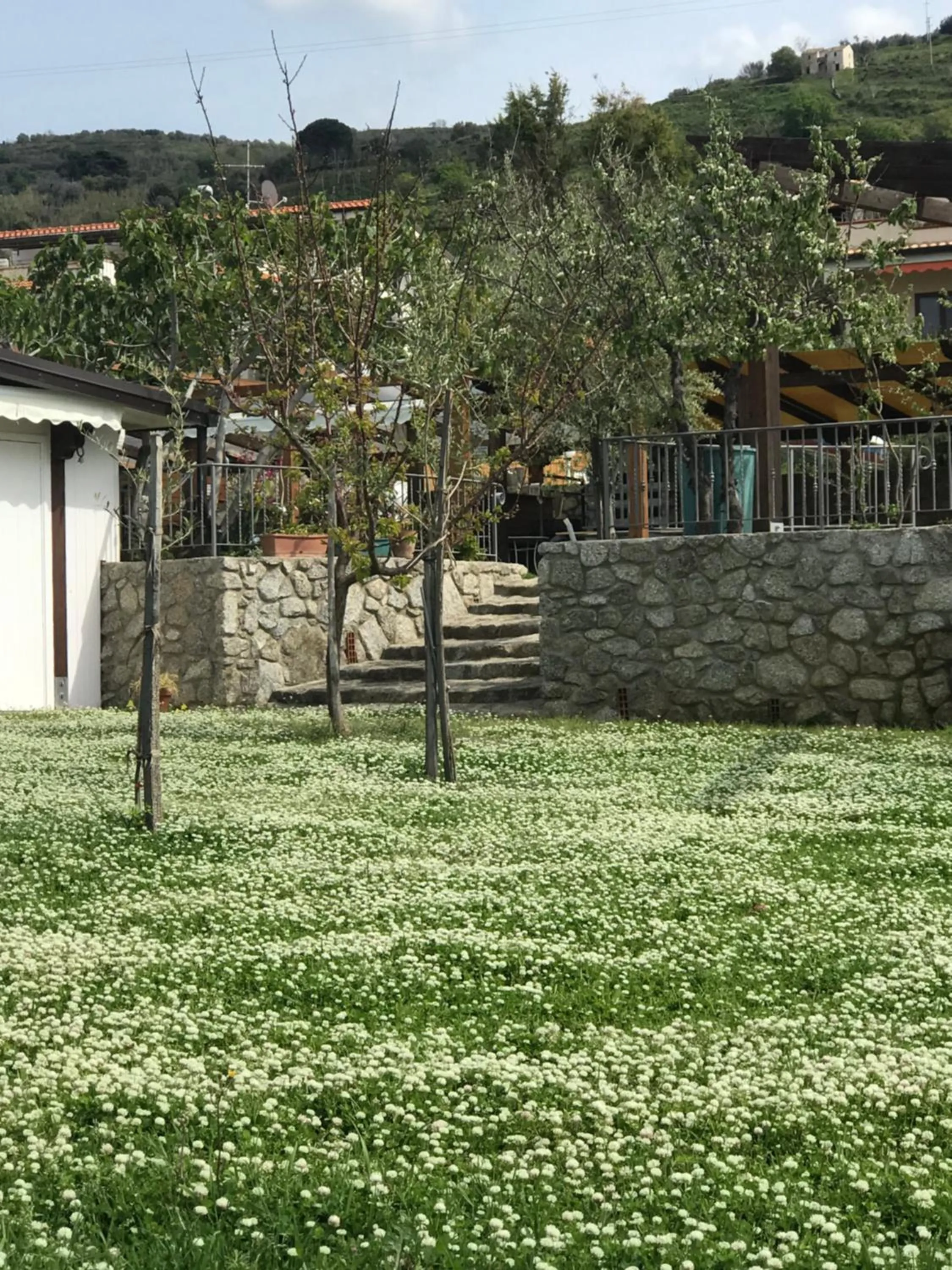 Garden in Appartamenti Pousada Michelino