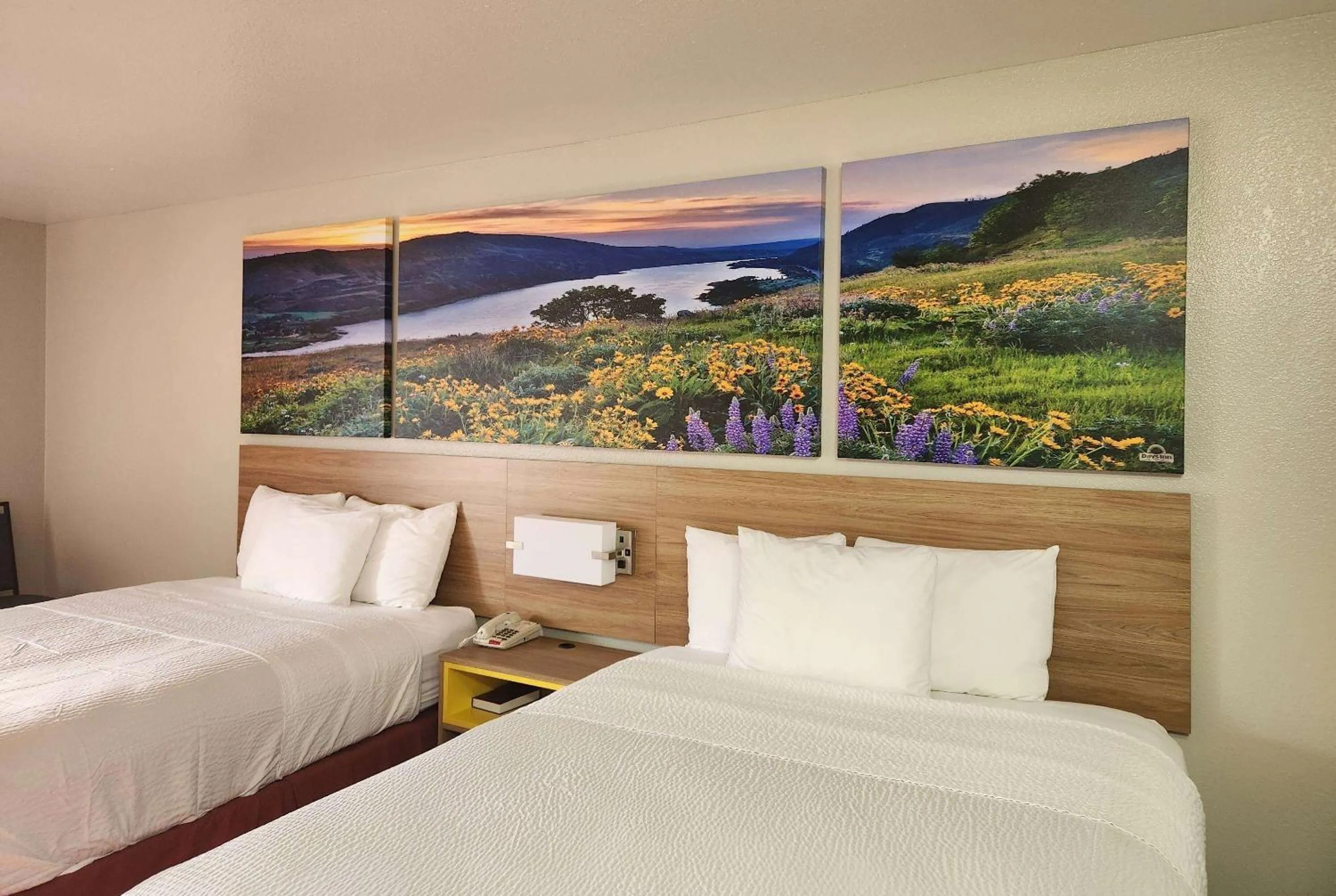 Photo of the whole room, Bed in Days Inn by Wyndham Lumberton