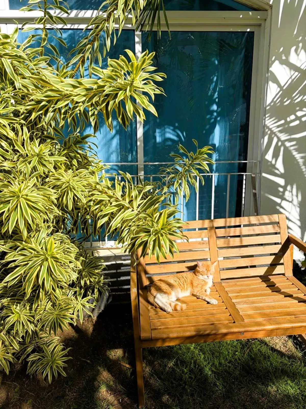 GAVA hostel