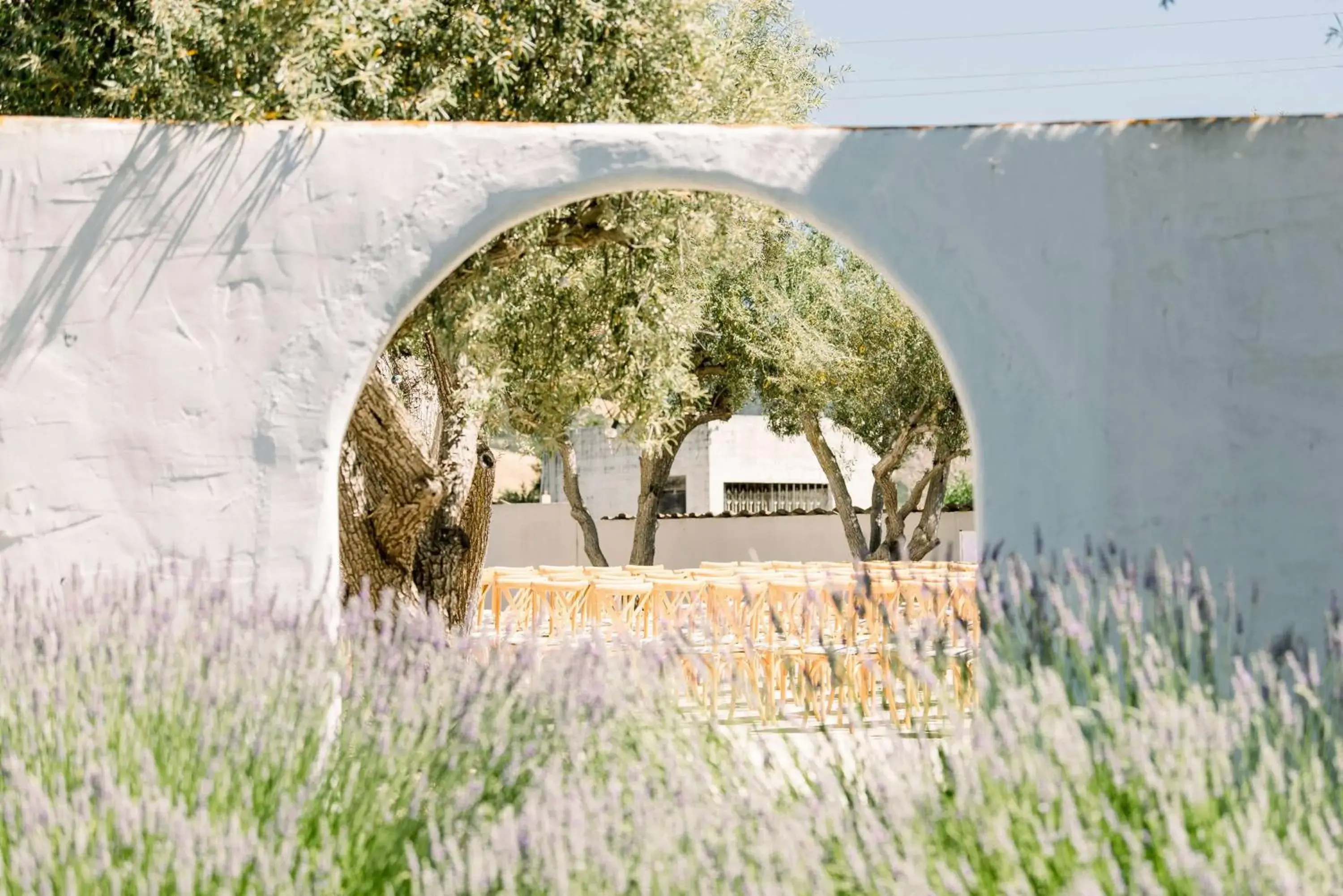 Property building in Hacienda de Leal - BW Signature Collection Property building in Hacienda de Leal - BW Signature Collection