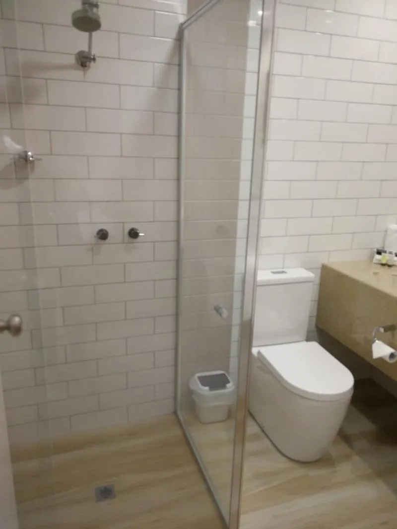 Toilet in Addison Motor Inn