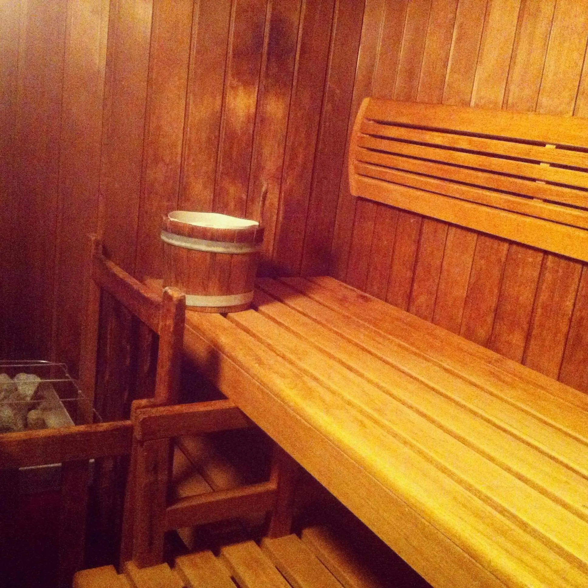Sauna in Spa Hôtel Restaurant Au Lion d'Or