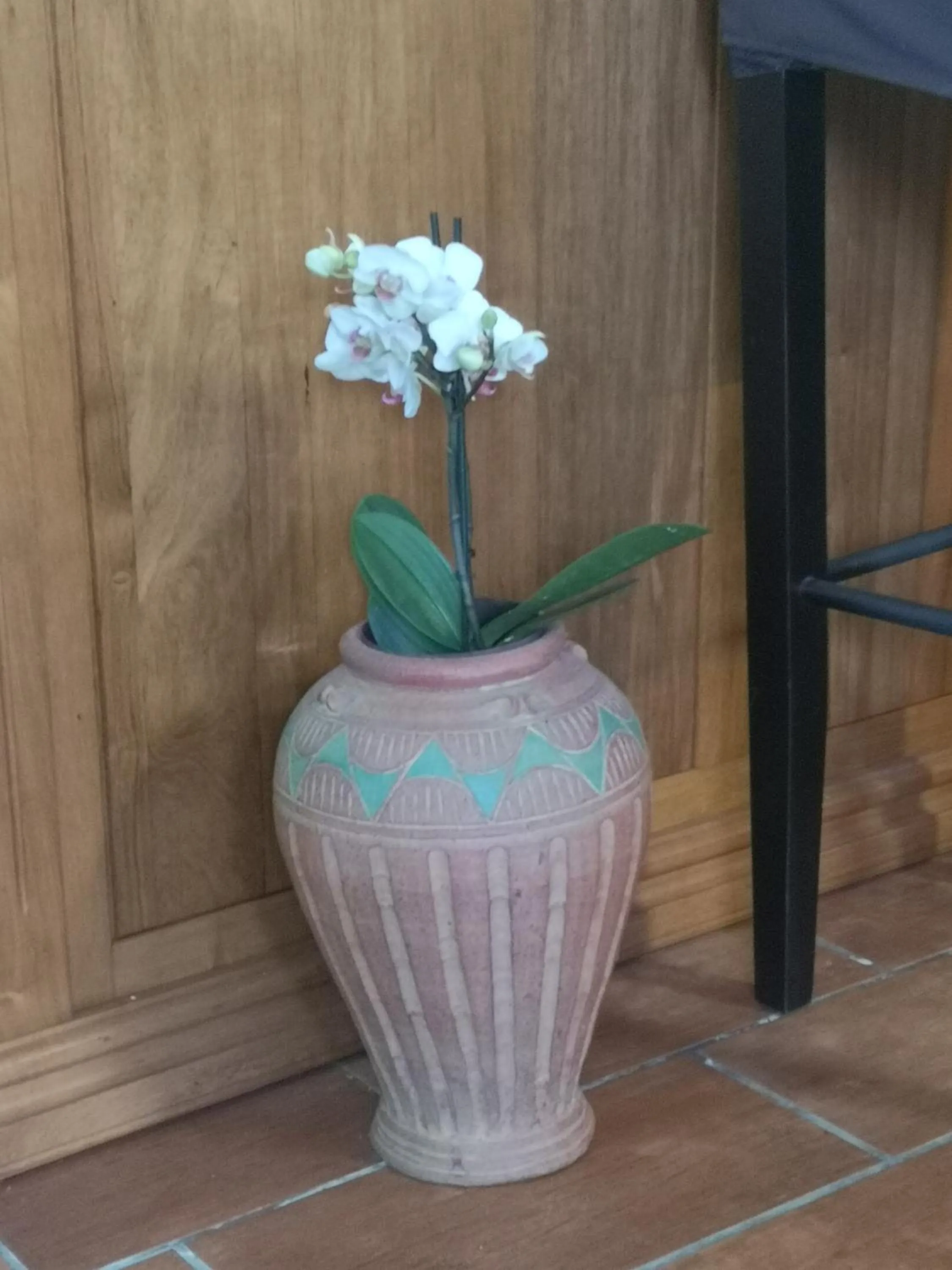 Property building in Le papangue