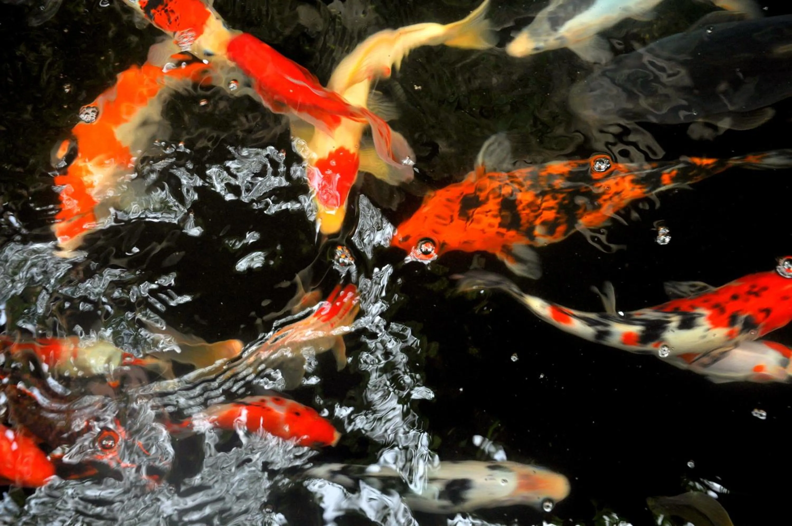 Garden in Candra Asri Bungalow! Free Early Check In, Great November Deal!