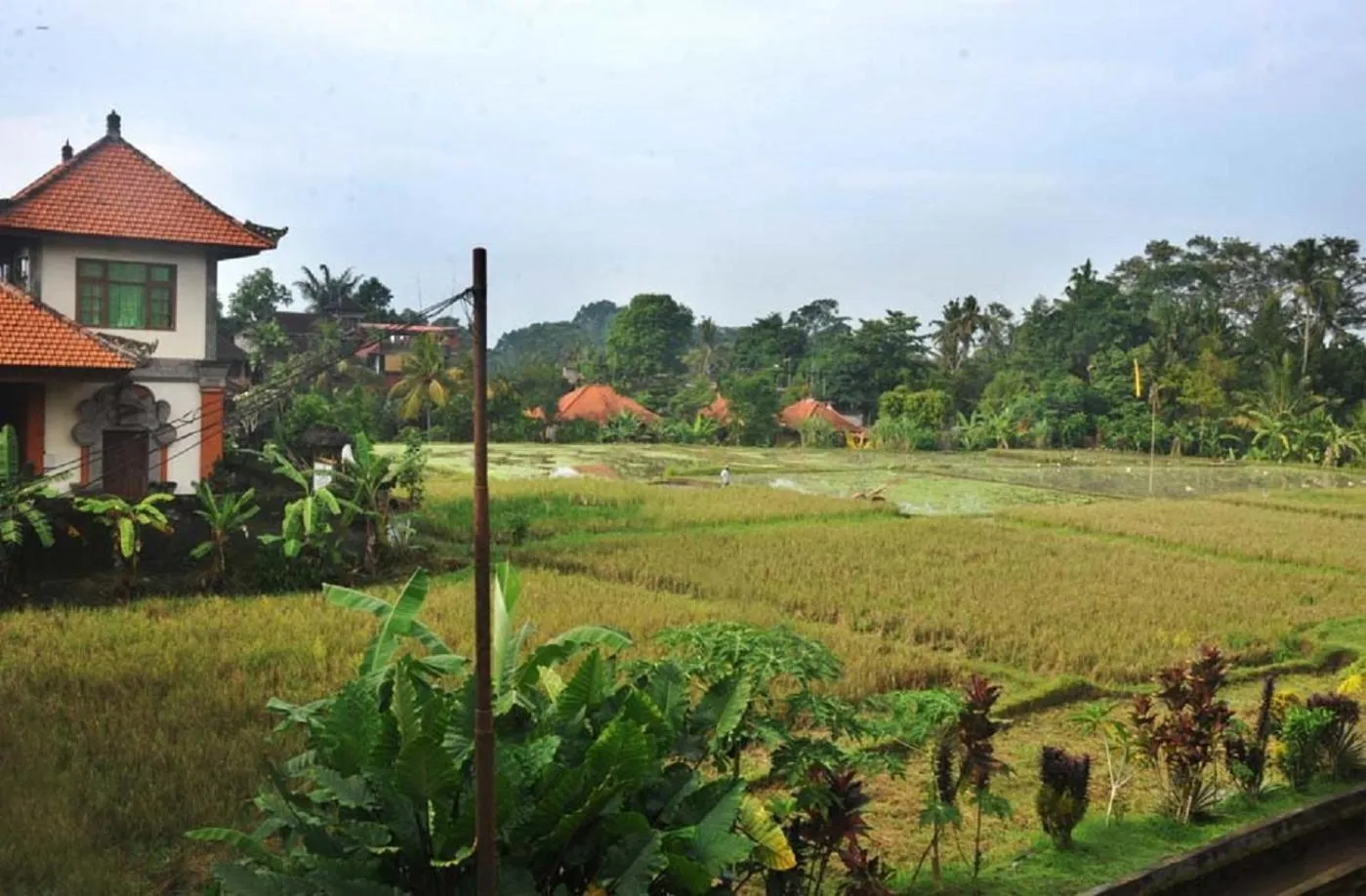 Natural landscape in Candra Asri Bungalow! Free Early Check In, Great November Deal!