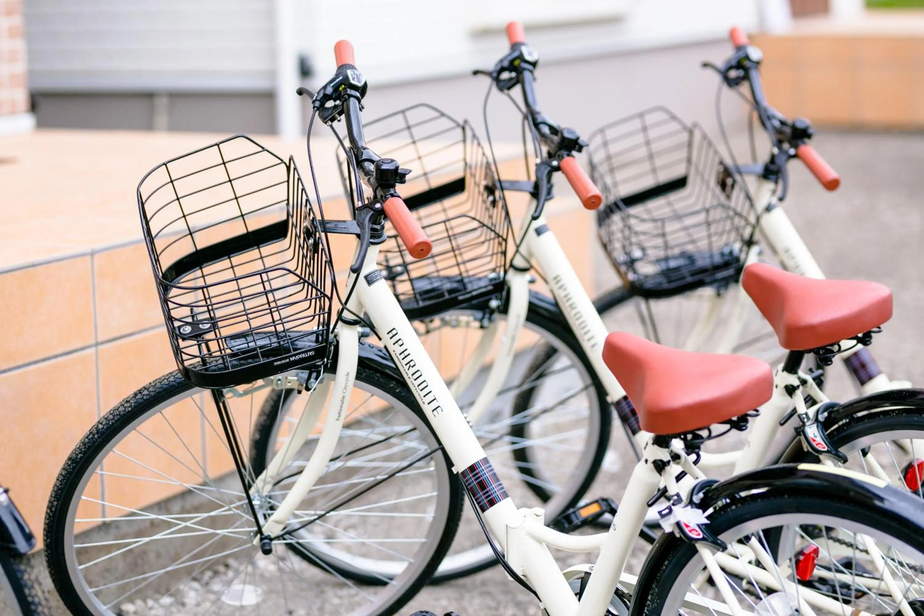 Activities in Villa Hanasaku Fujikawaguchiko B