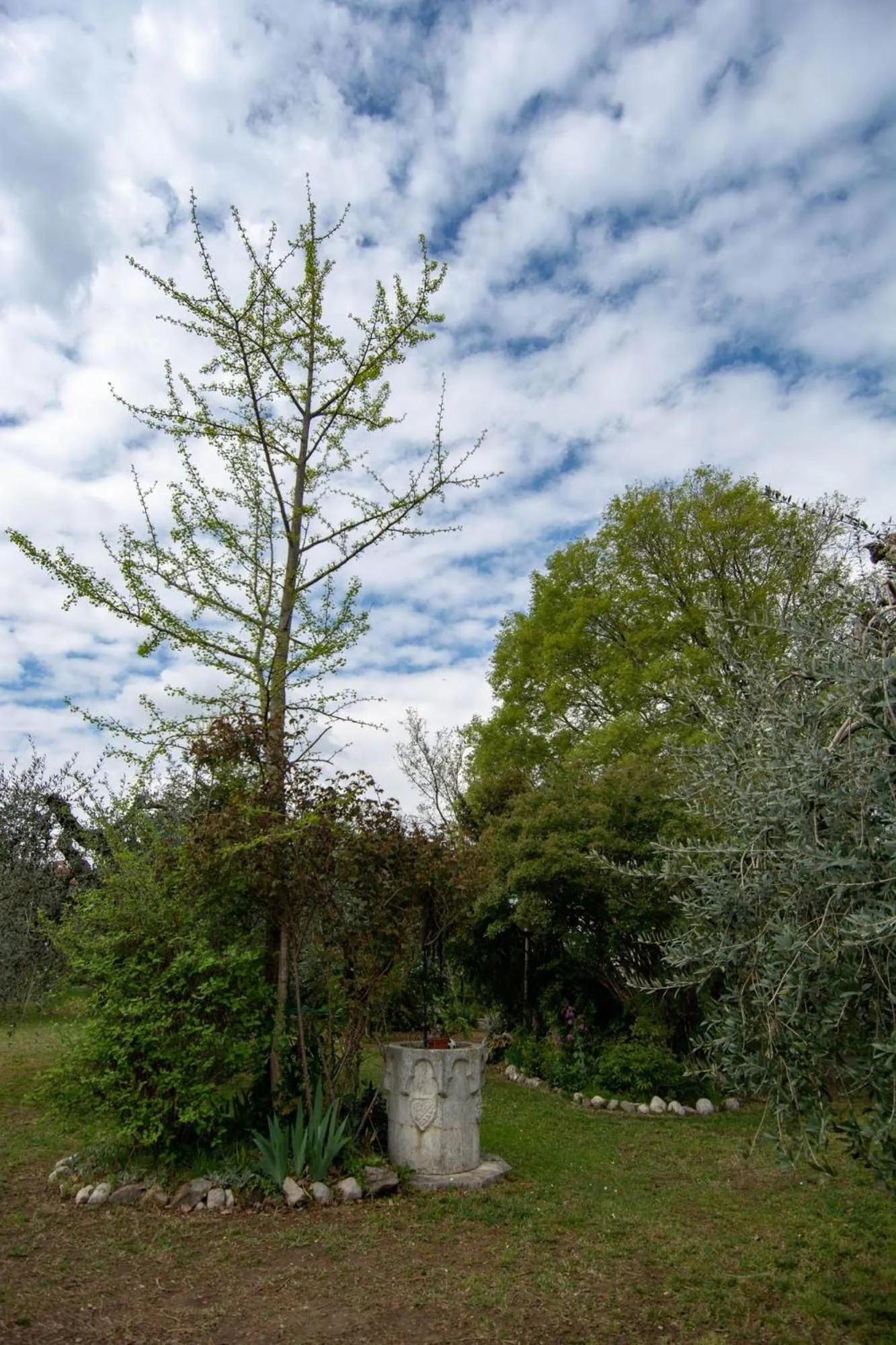 El Rincon del Artista