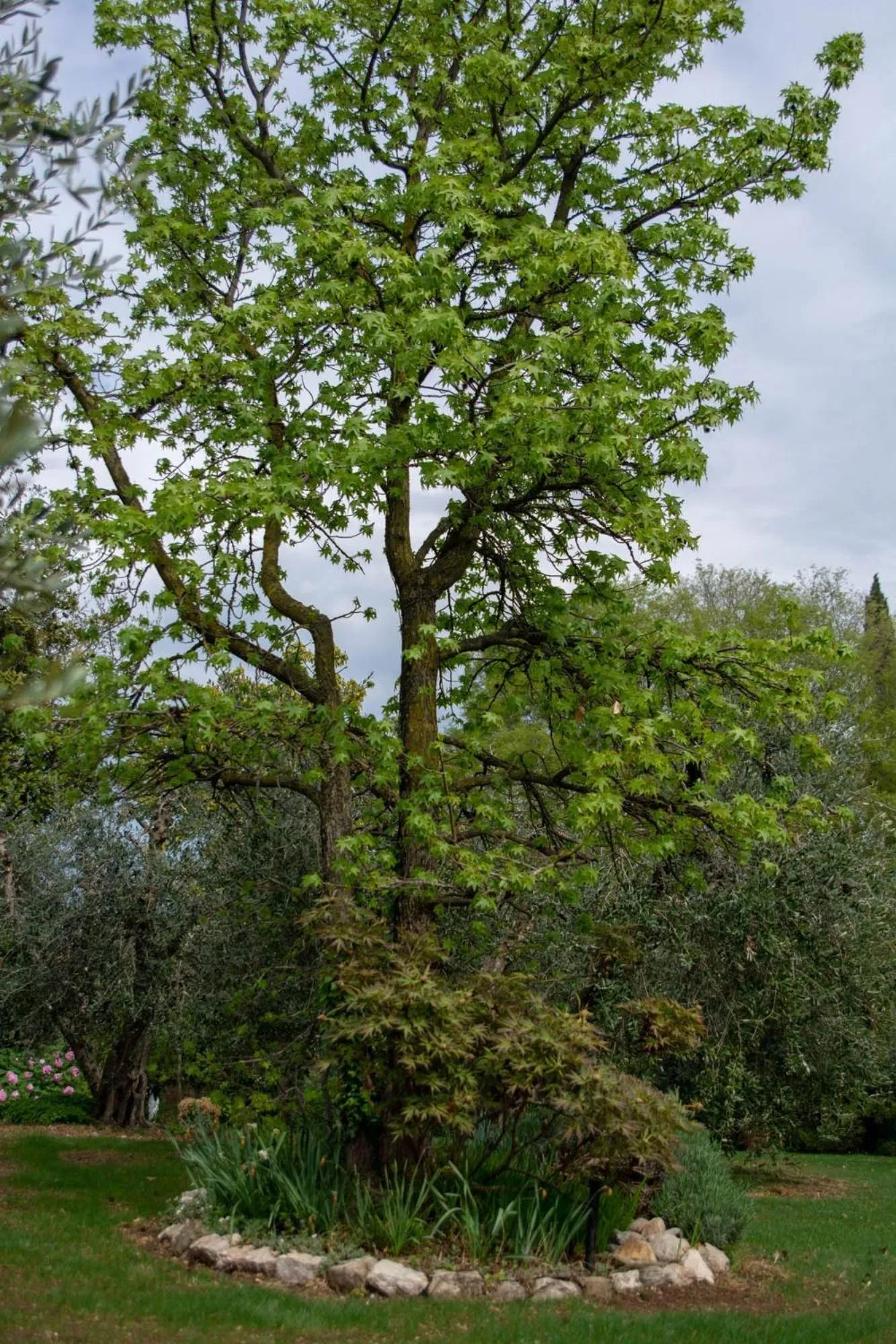 El Rincon del Artista