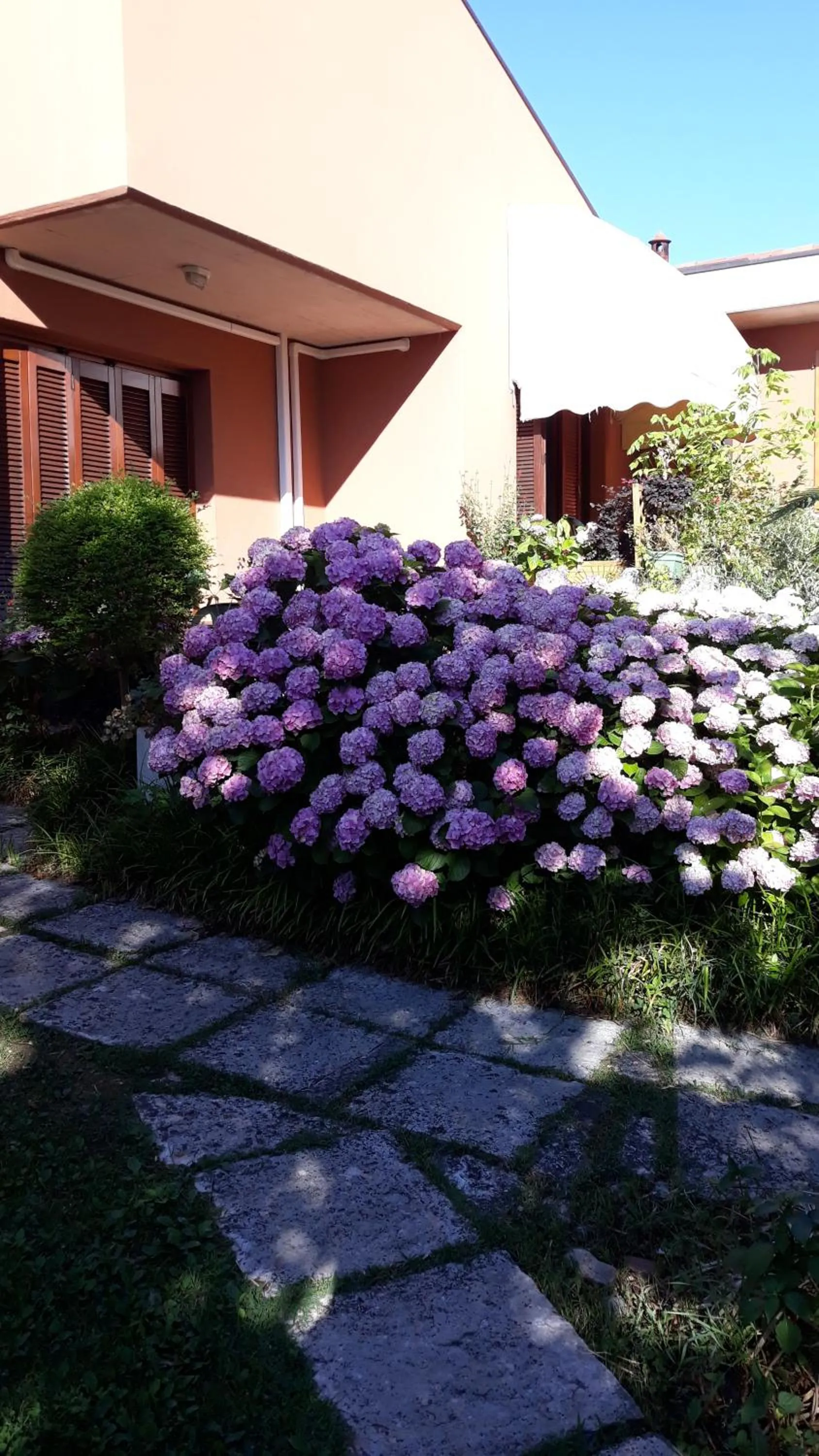 El Rincon del Artista