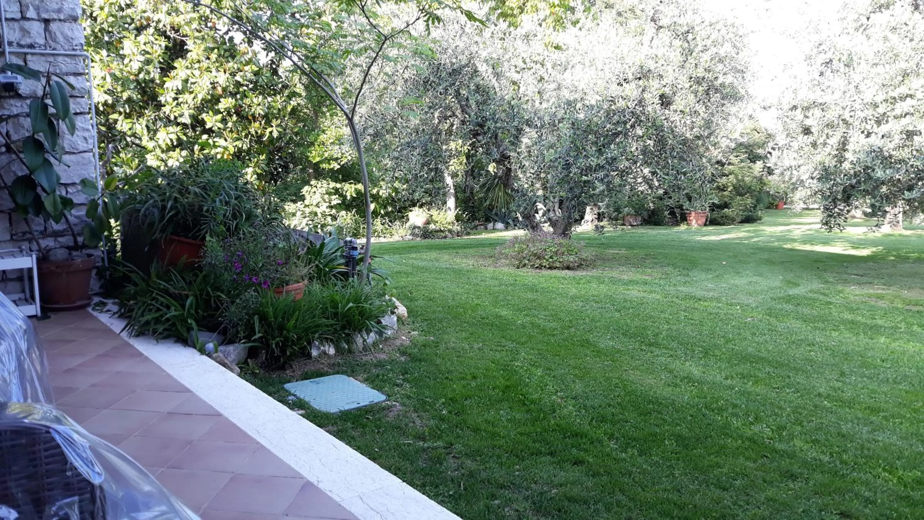 Spring in El Rincon del Artista