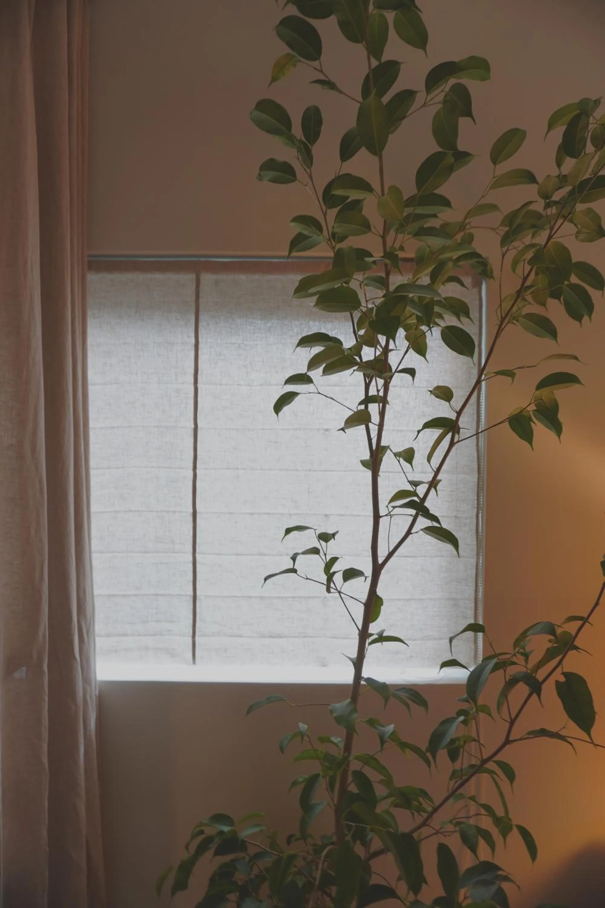 At corner resort & garden