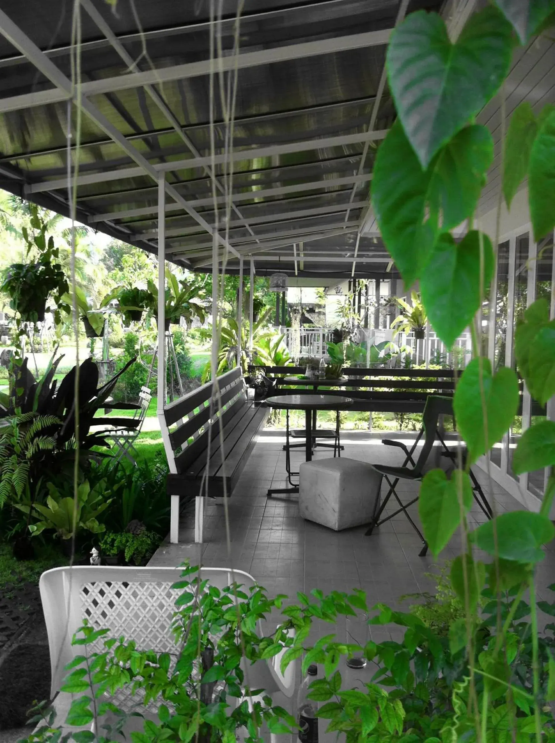 Restaurant/places to eat in Khao Yai Cottage Restaurant/places to eat in Khao Yai Cottage