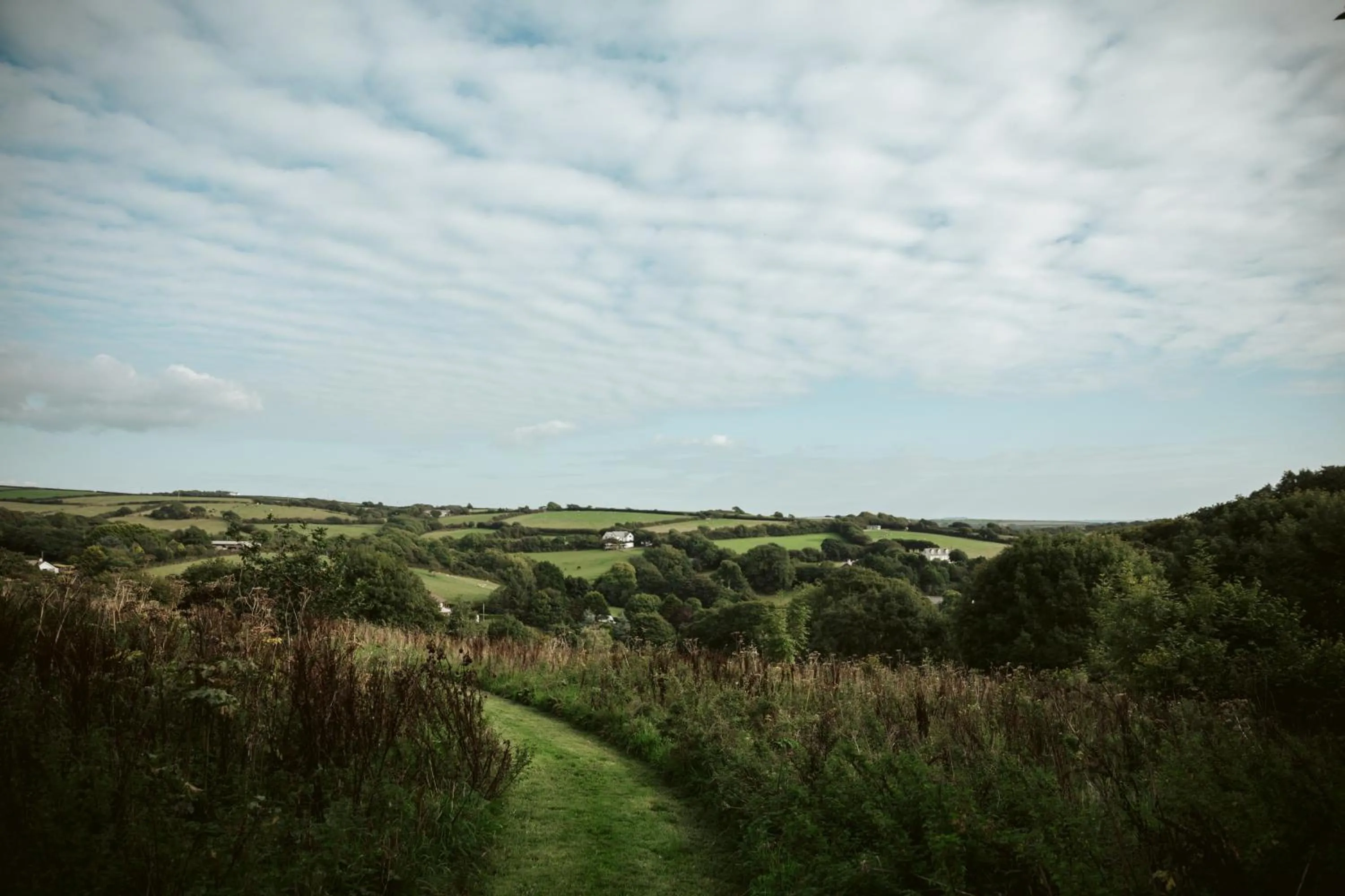 Willow Valley