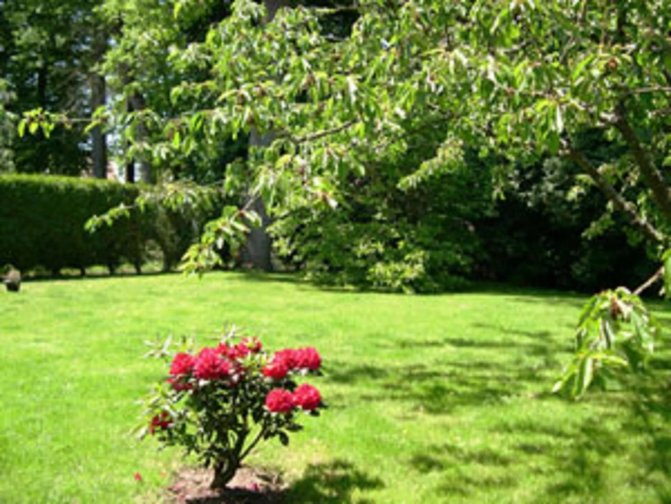 Garden in Chambre d'Hôtes Quietude en Vallée de Chevreuse