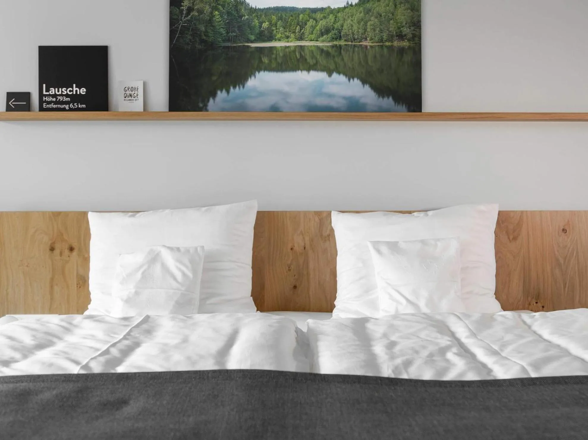 Deluxe Double Room with Balcony - single occupancy in Trixi Park Zittauer Gebirge - Ferienhäuser, Hotel und Camping