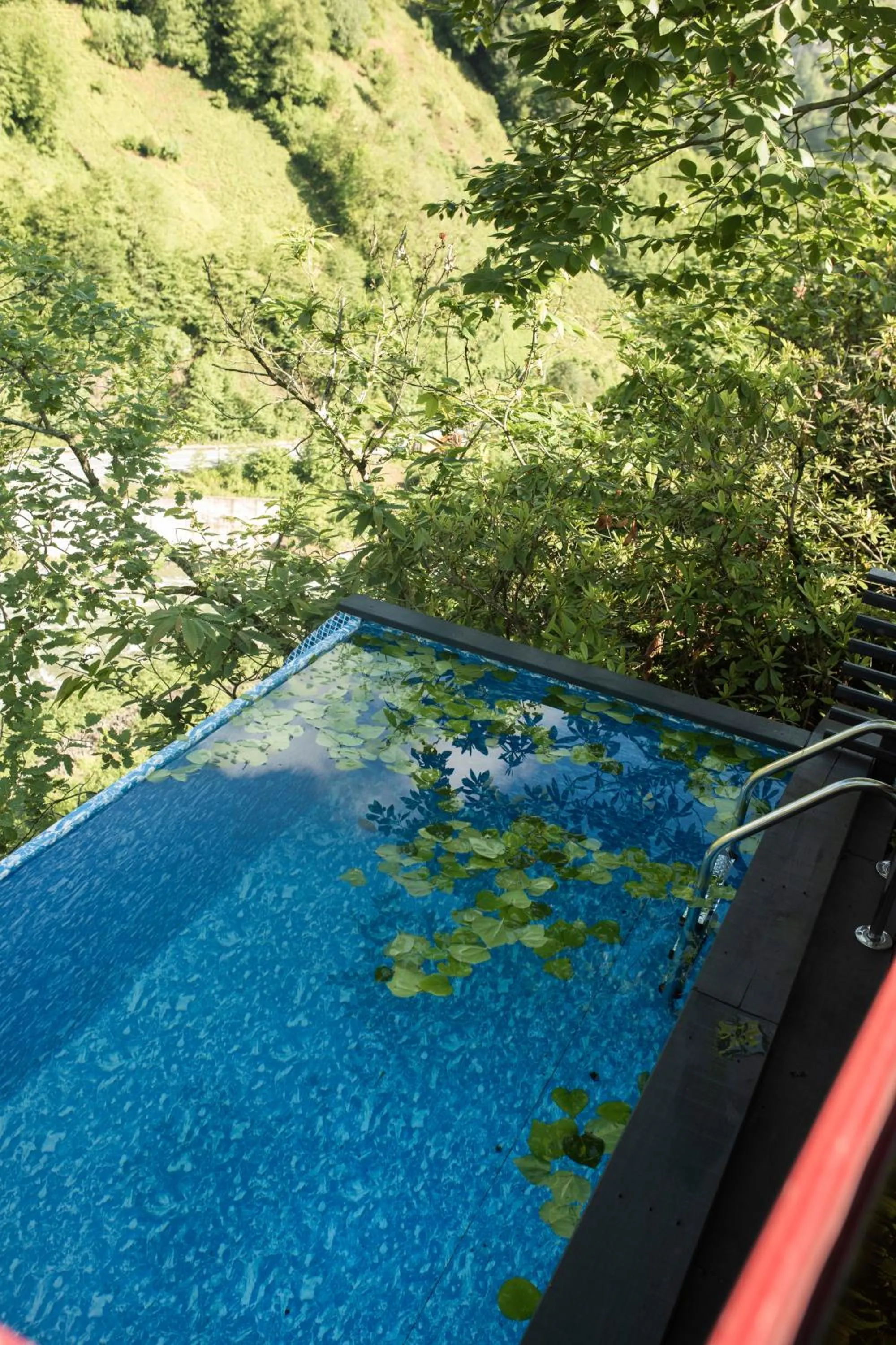 Day in bungalove tatil köyü