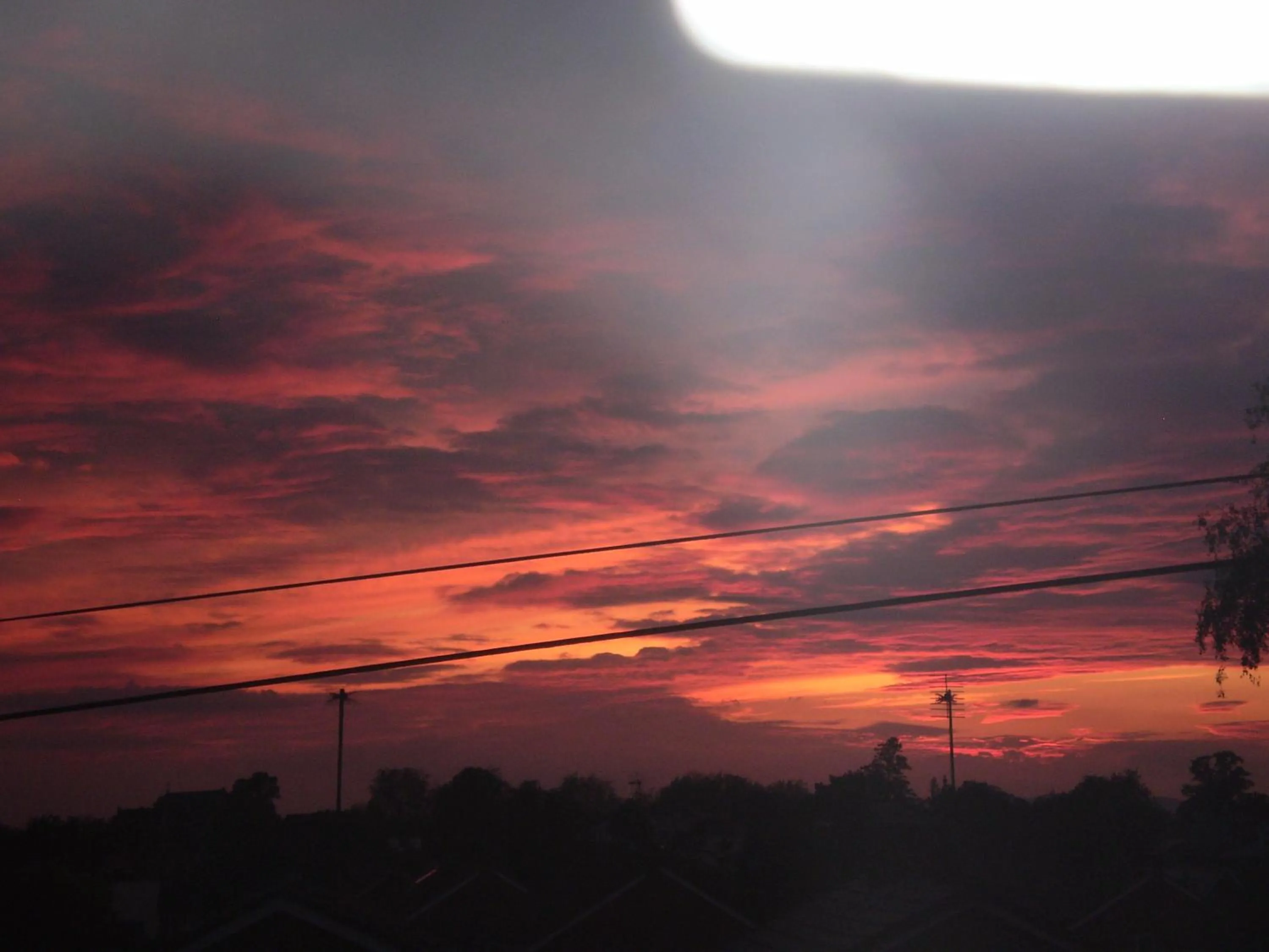 Sunset in Badger Towers