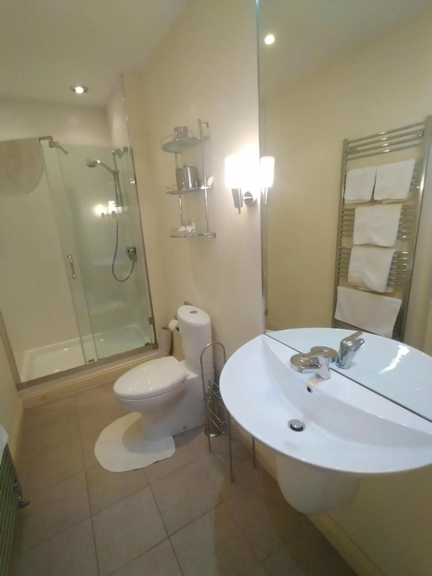 Bathroom in Badger Towers