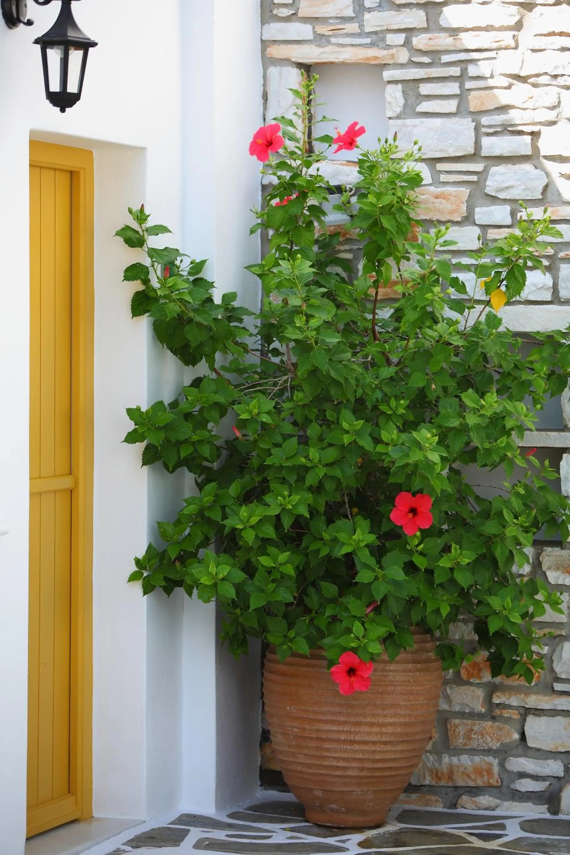 Decorative detail in Ostria