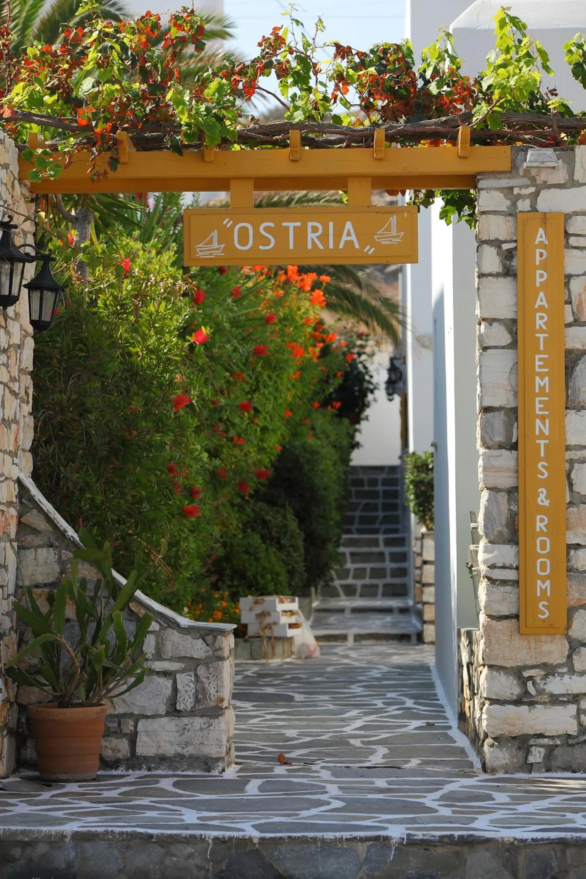 Property building in Ostria