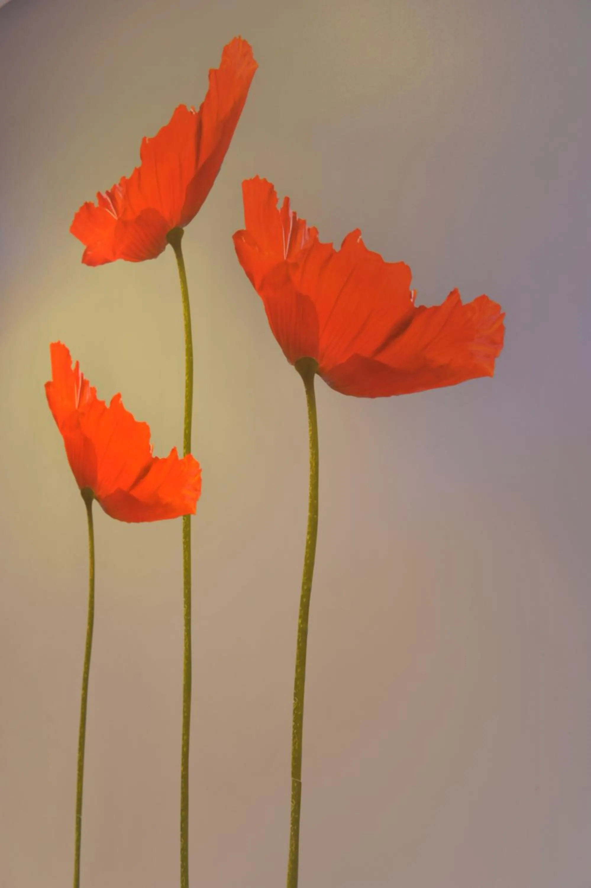 Other in Hotel O2B Aux Berges de Brocéliande