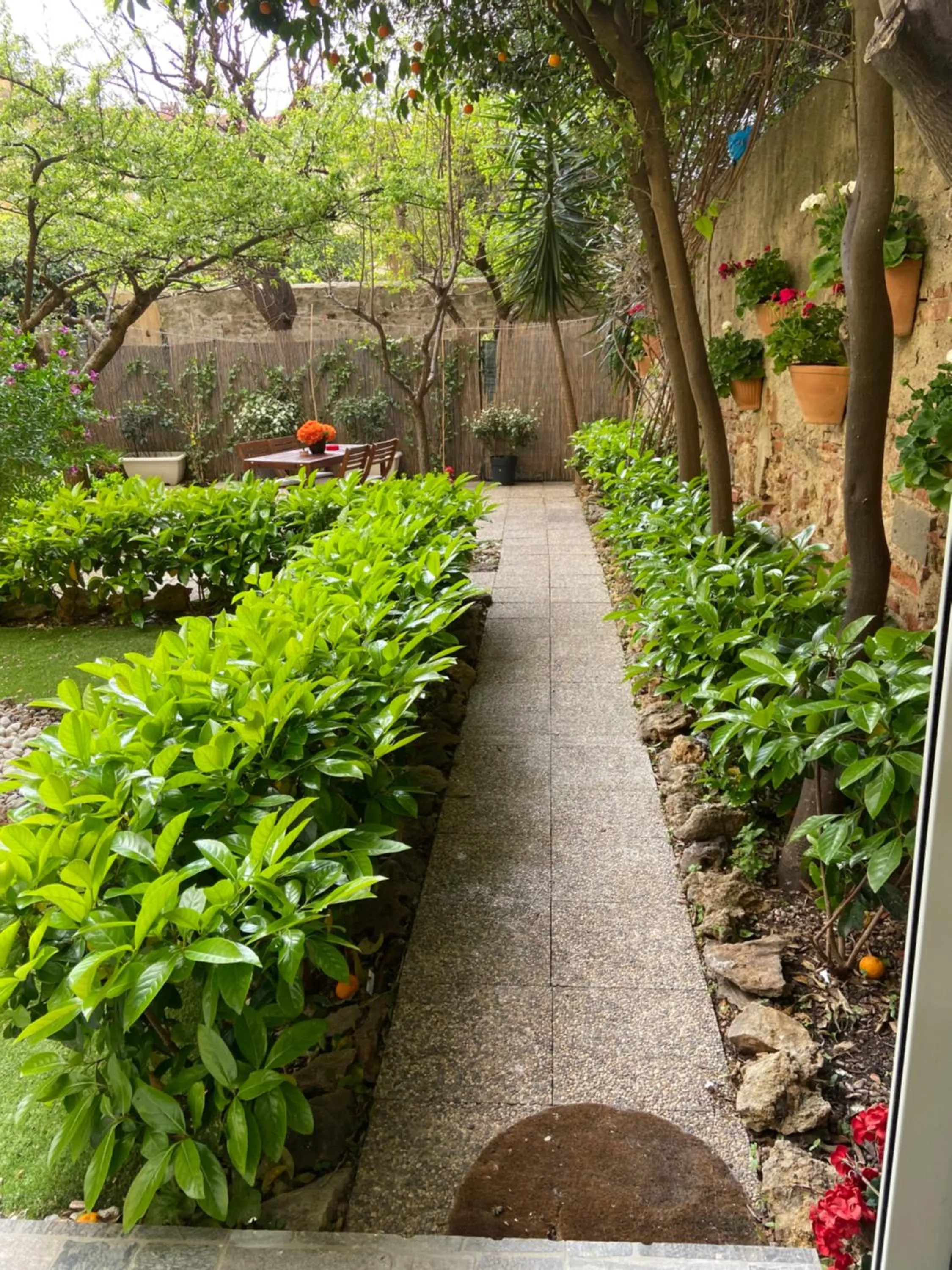 Garden in PARADISE INN