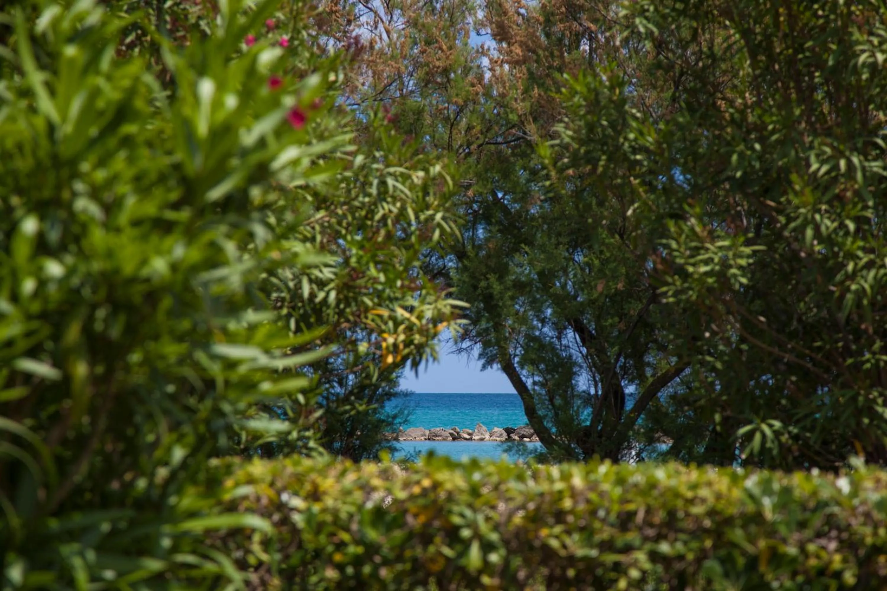 Sea view in Residence Casabianca
