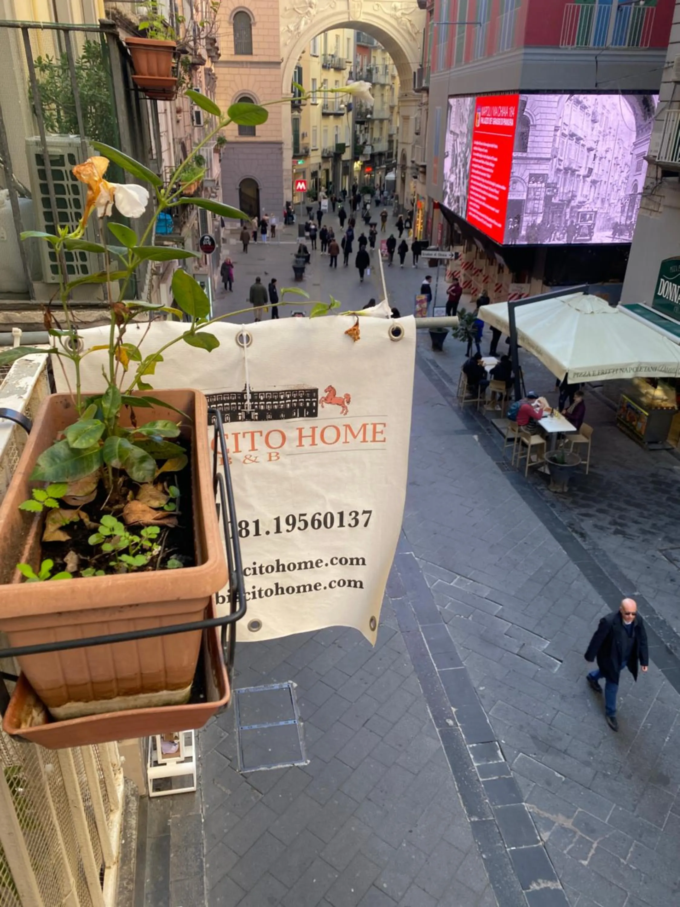 Property building in Bed & Breakfast Plebiscito Home