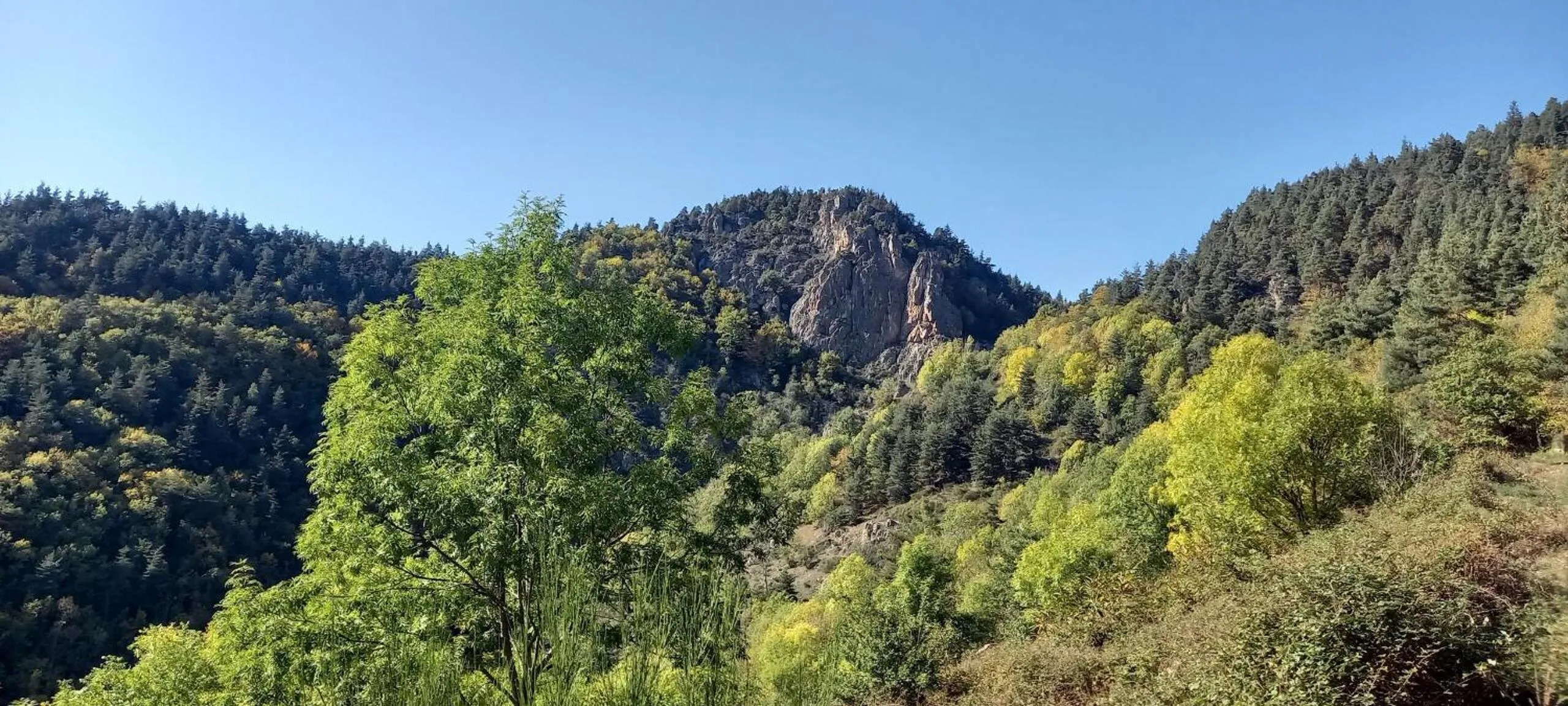 Neighbourhood in Auberge Le Champêtre