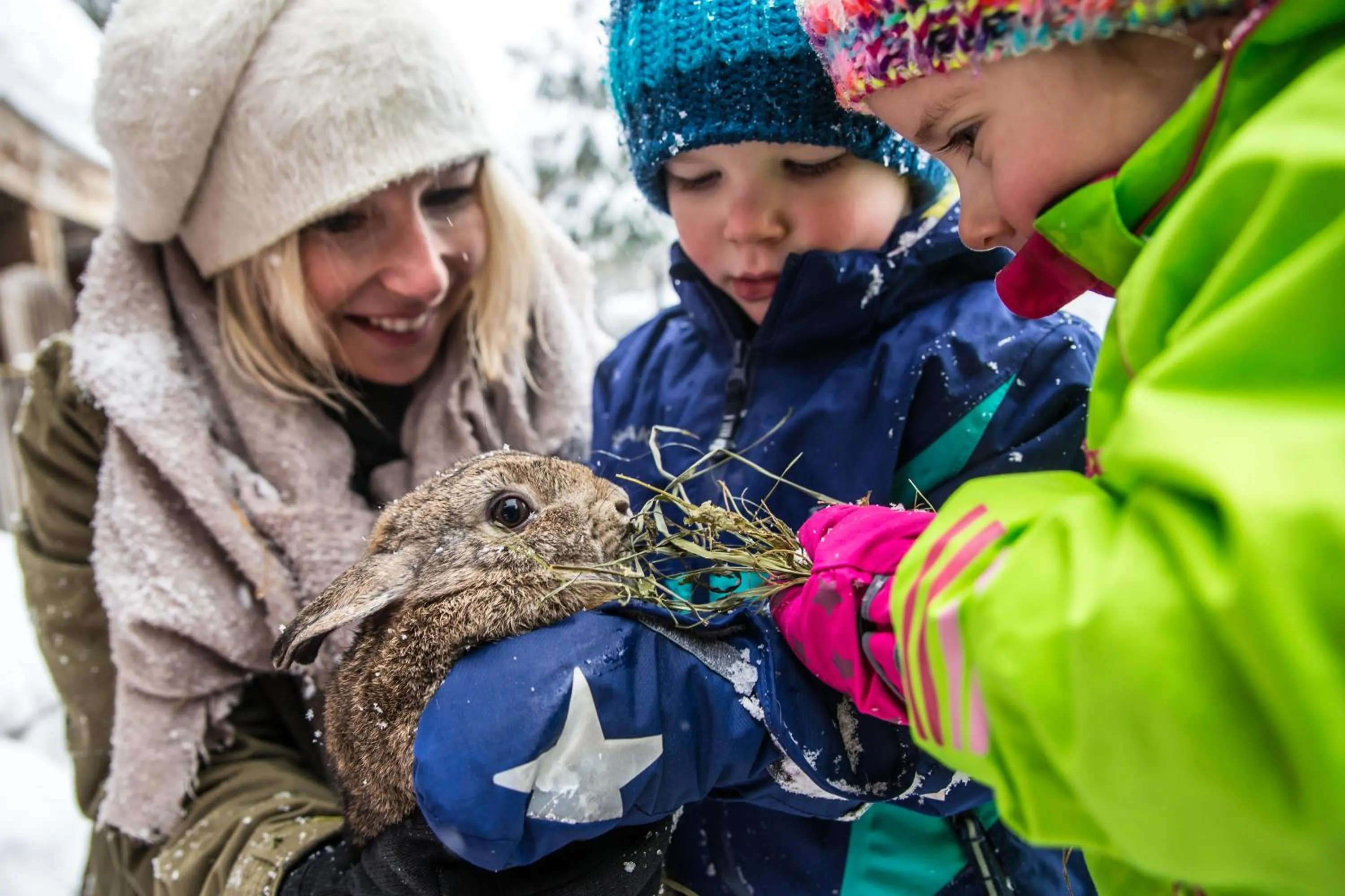 Winter in Alpin Family Resort Seetal