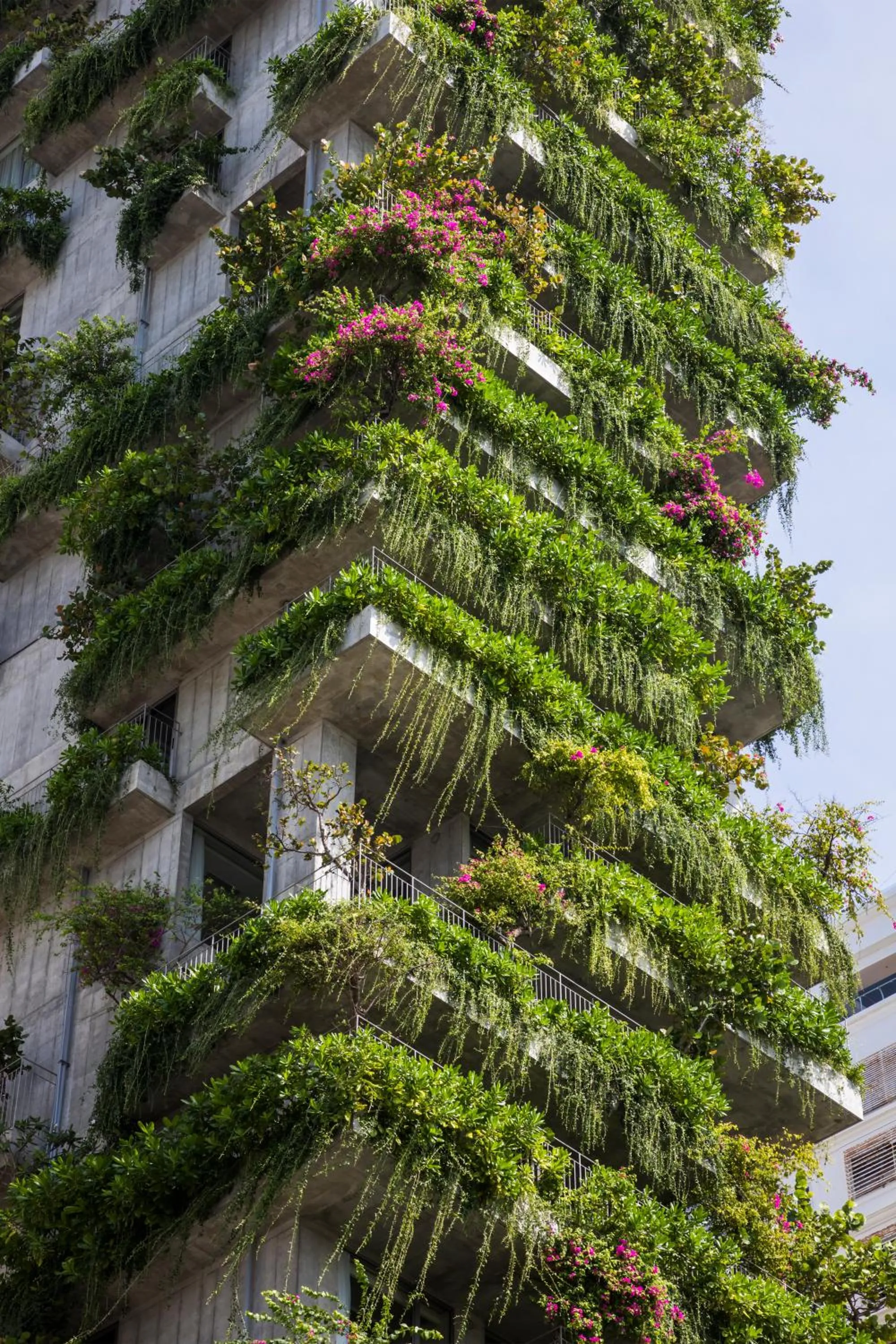 Property building in Chicland Boutique Danang Beach Hotel