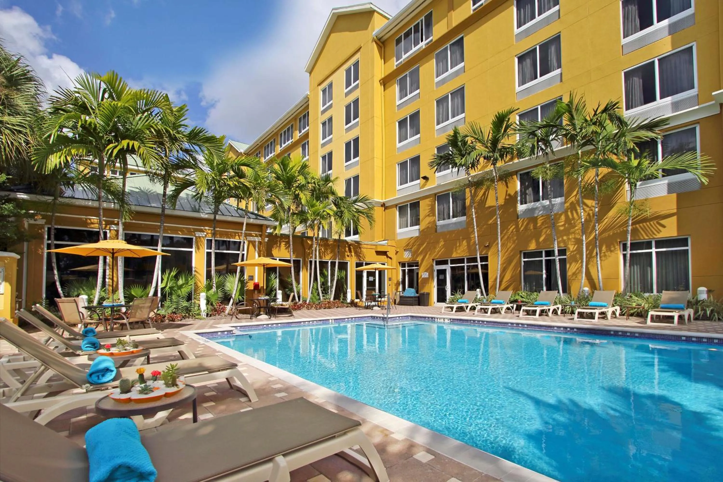 Pool view in Hilton Garden Inn Ft. Lauderdale Airport-Cruise Port