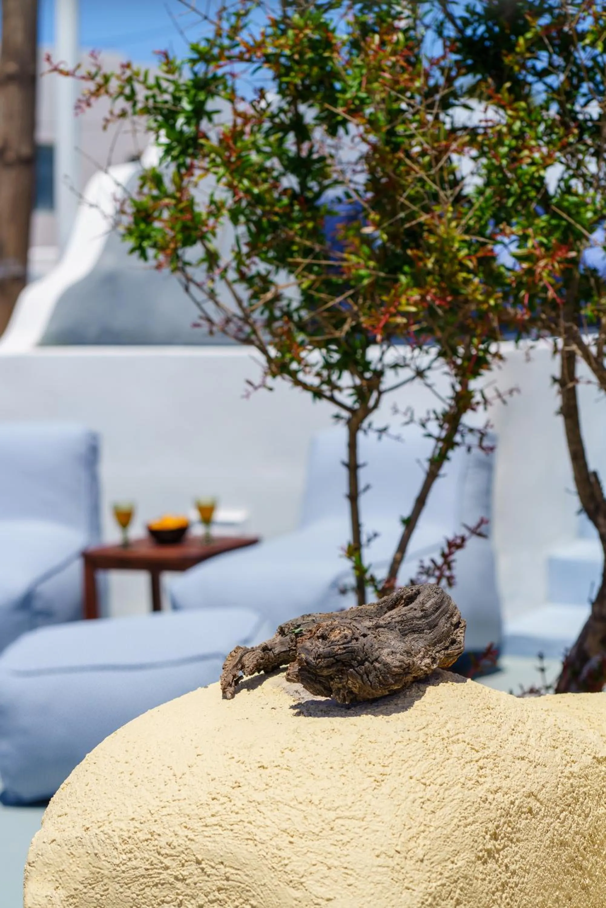 Patio in Pasithea Suites