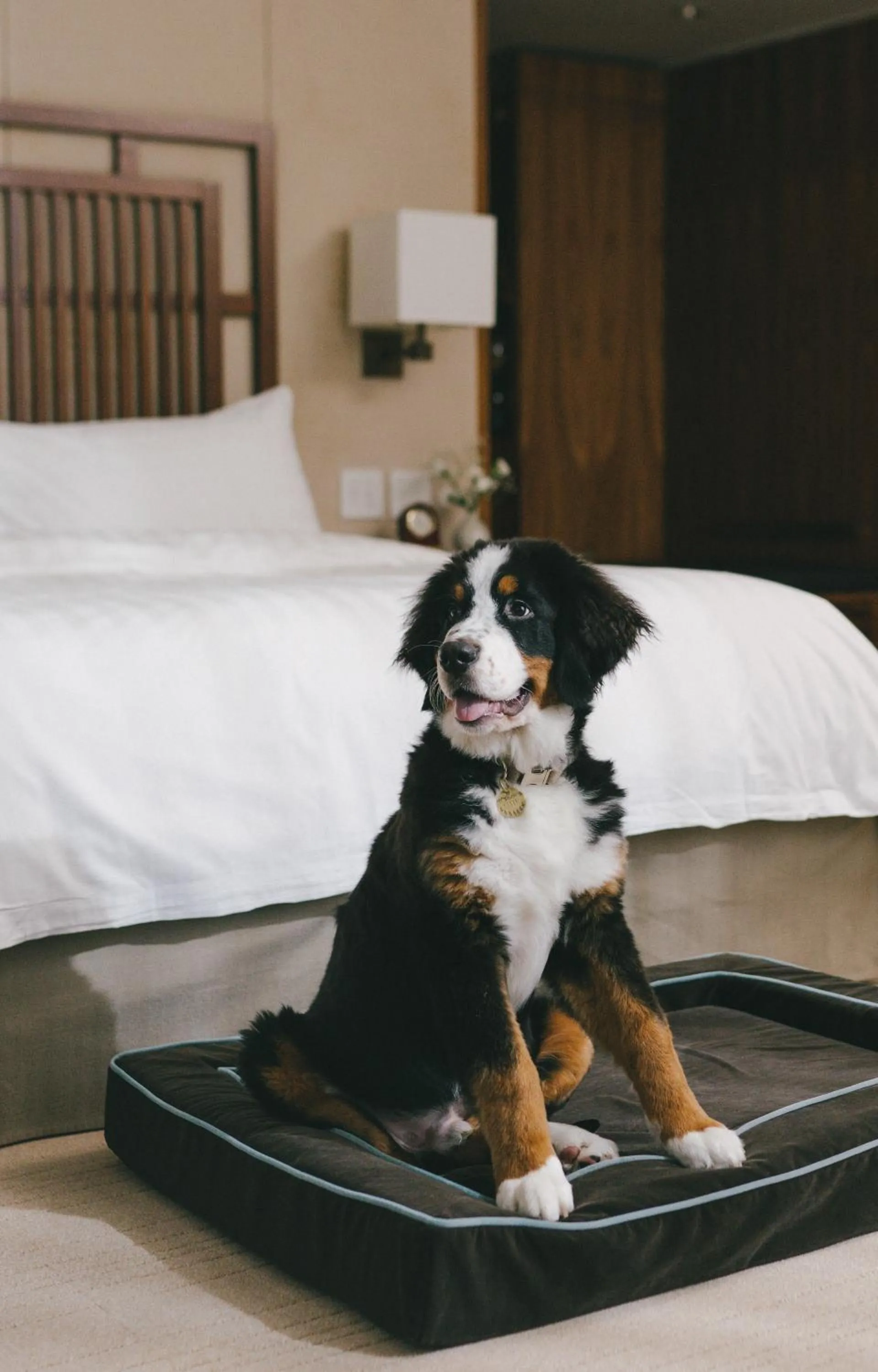 Bed in Hyatt Vancouver Downtown Alberni