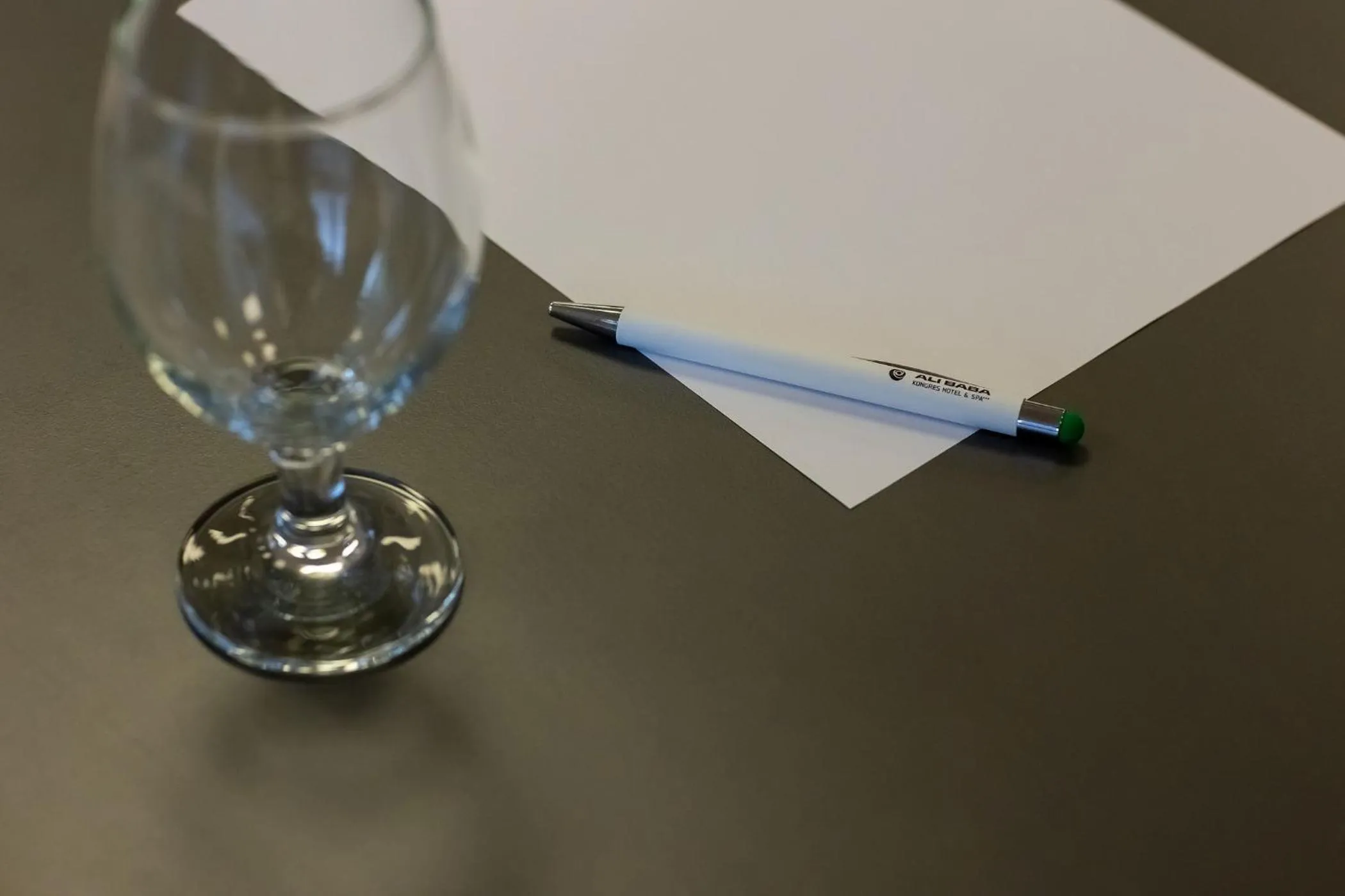 Business facilities in Hotel Alibaba