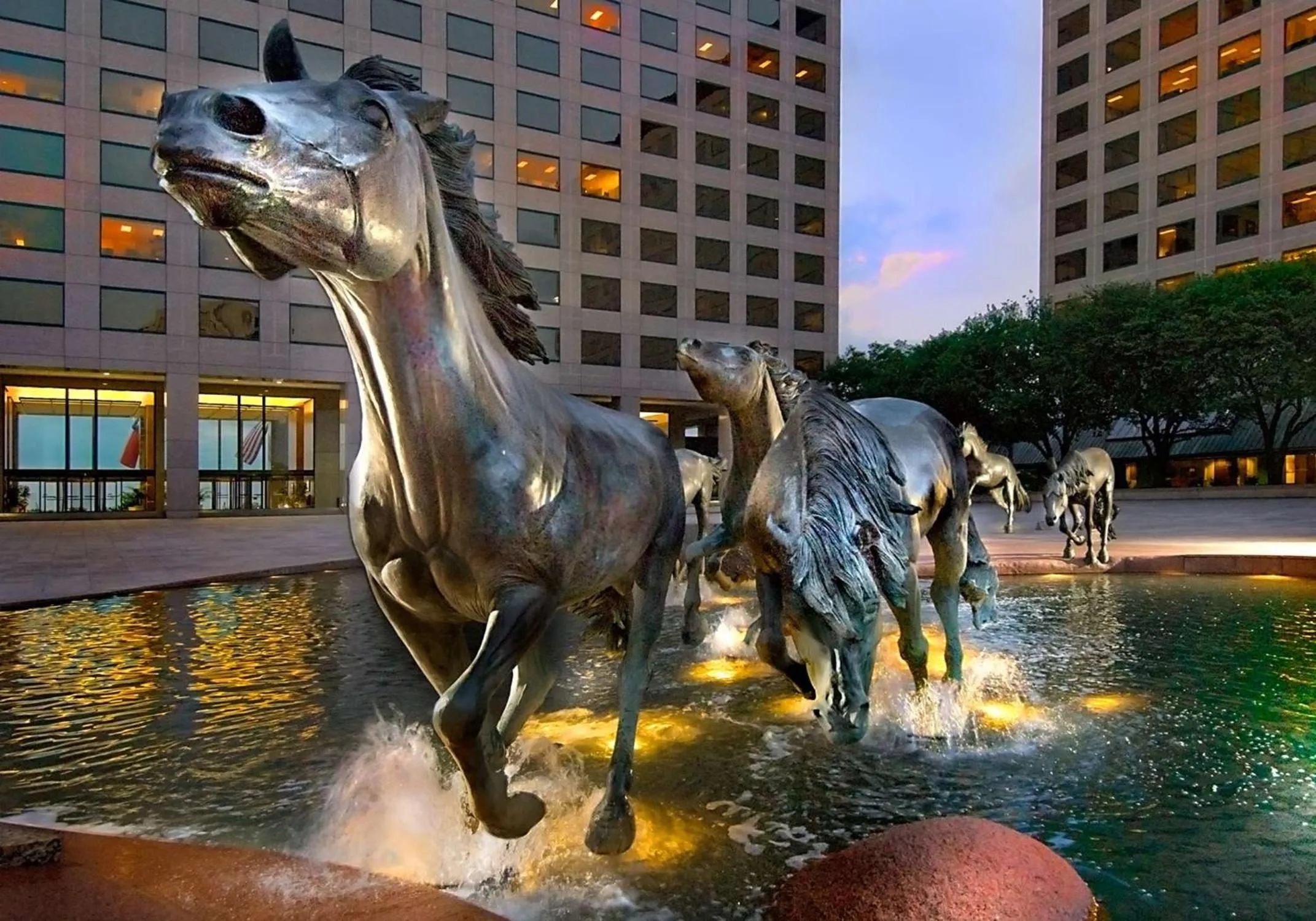 Property building in Hilton Garden Inn DFW Airport South