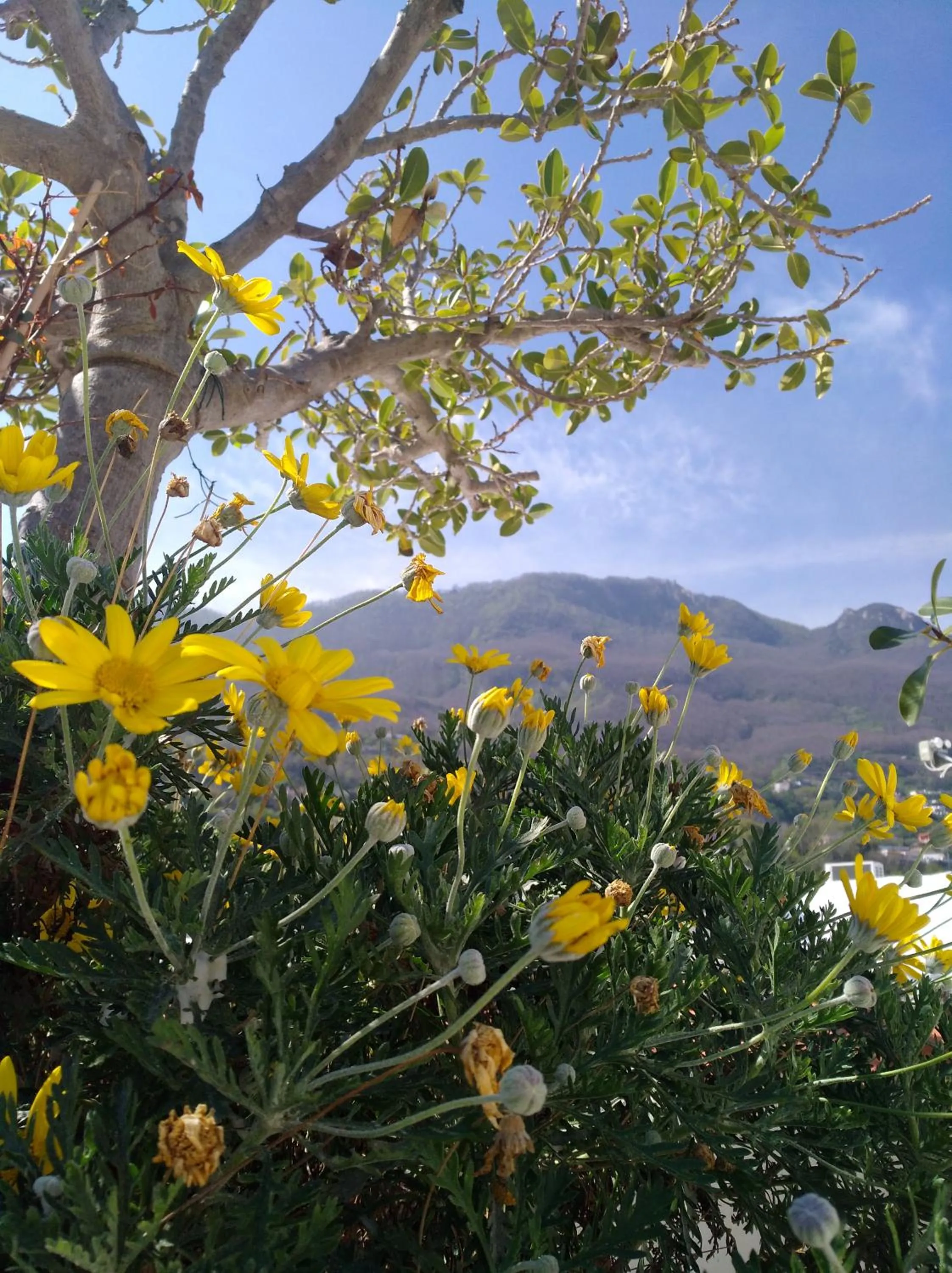 Natural landscape in Hotel la Maggioressa