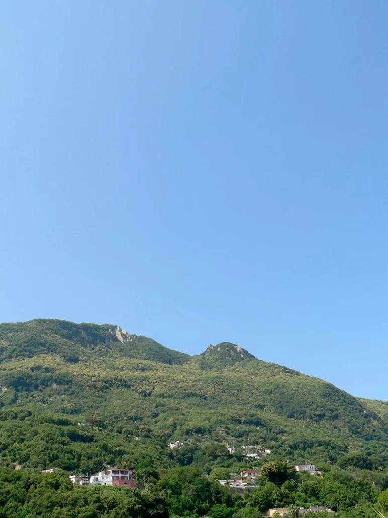 Balcony/Terrace in Hotel la Maggioressa