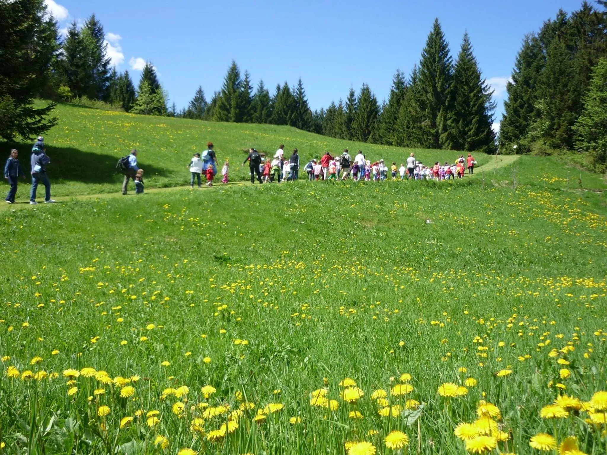 Activities in Hotel da Barba B&B