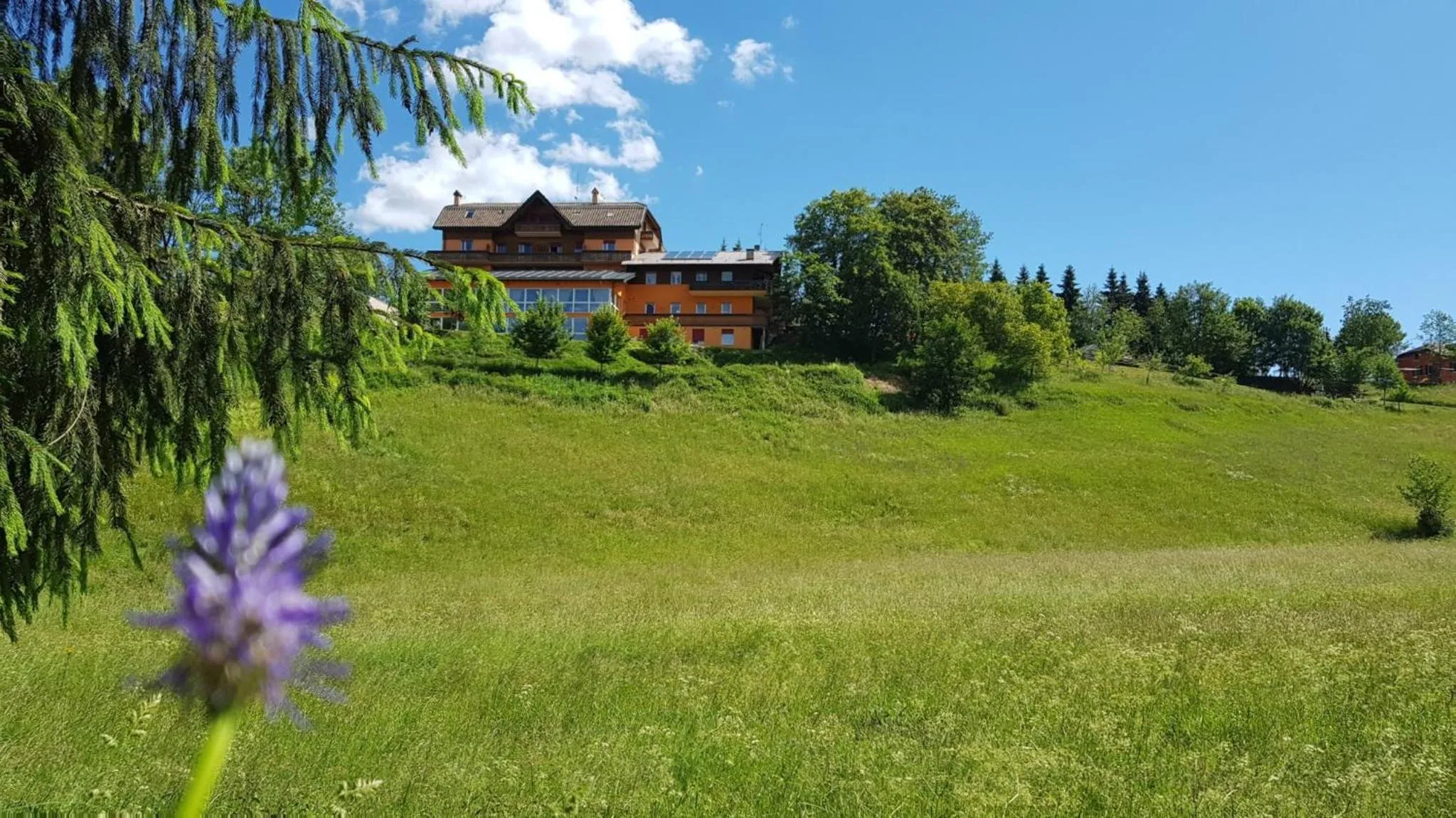 Property building in Hotel da Barba B&B