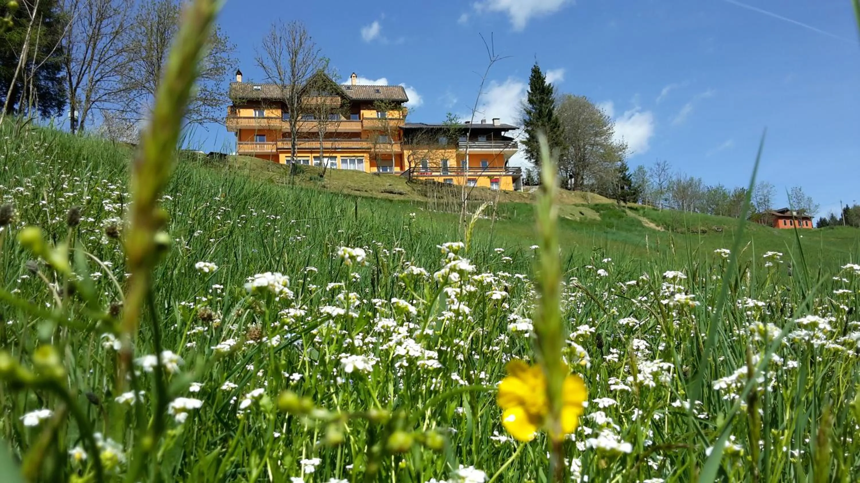 Property building in Hotel da Barba B&B