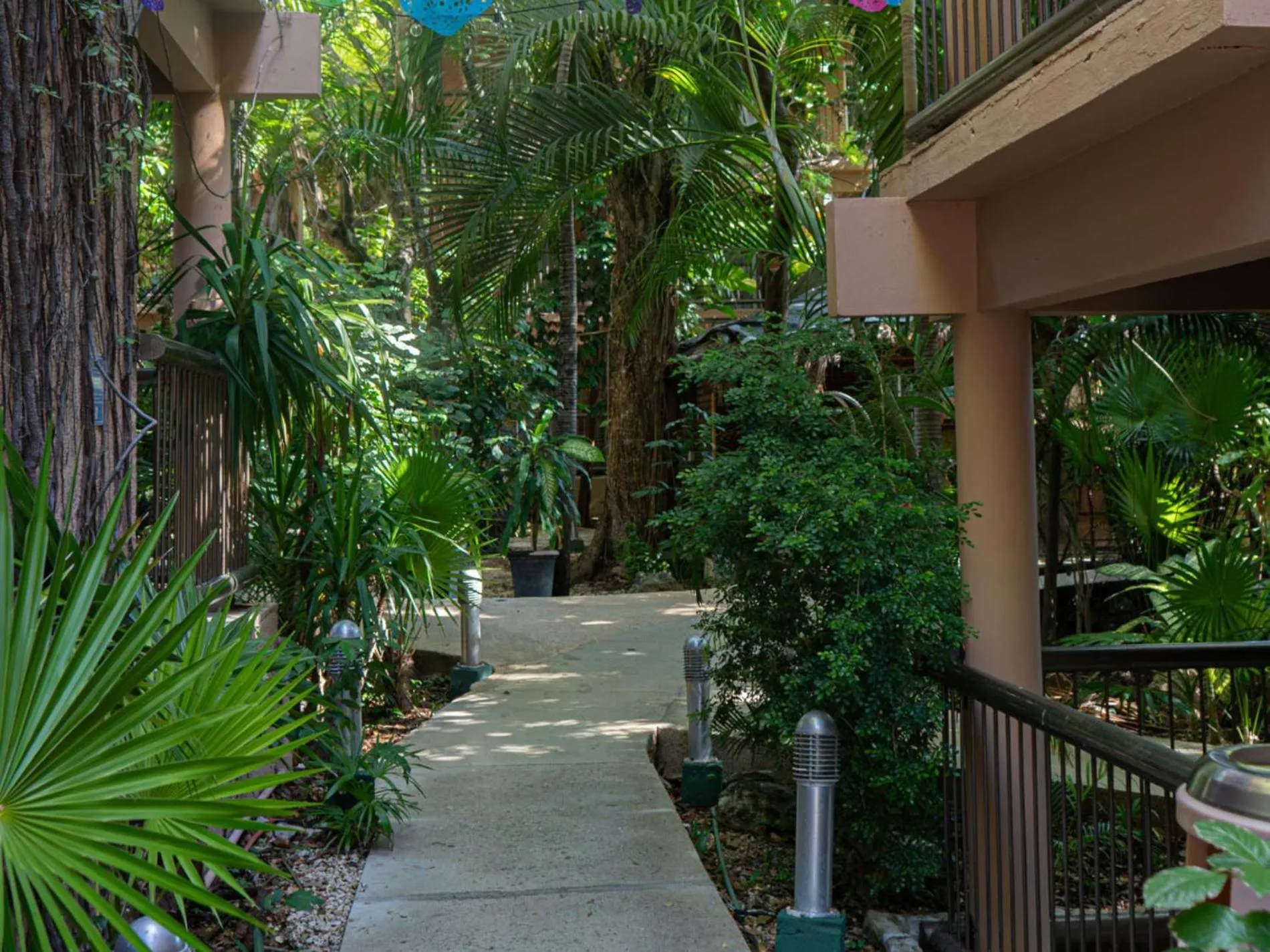 Garden in Tukan Hotel Playa del Carmen