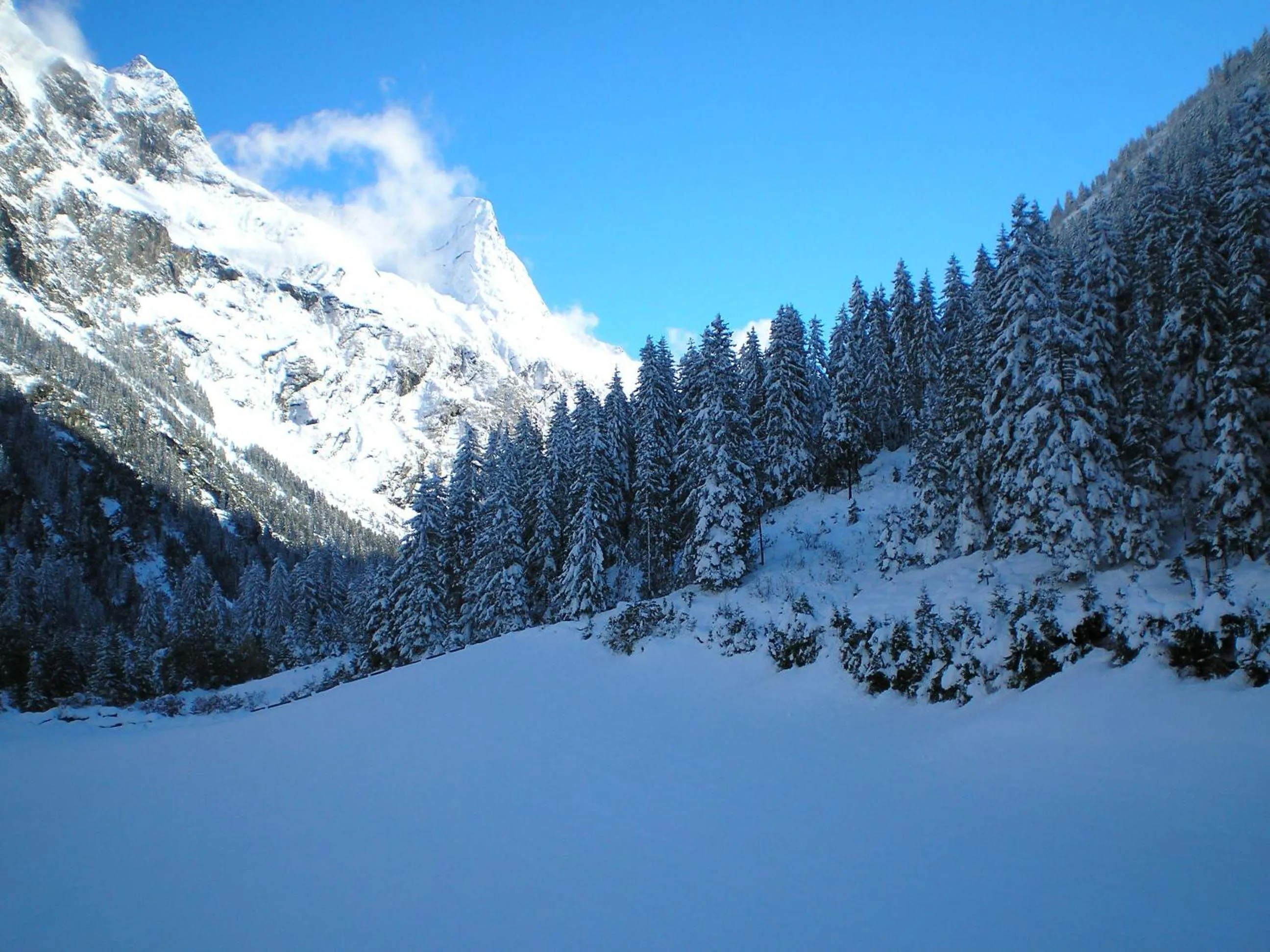 Natural landscape in Haus Bödele