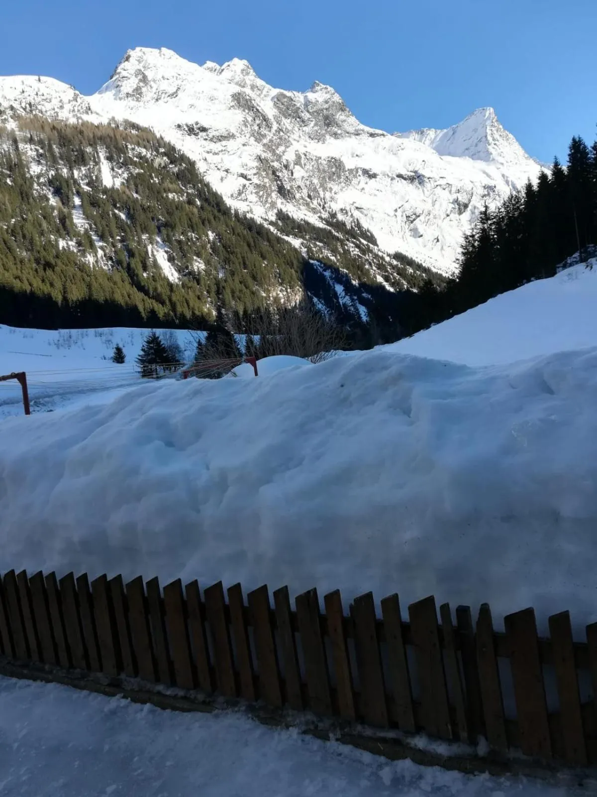 Natural landscape in Haus Bödele