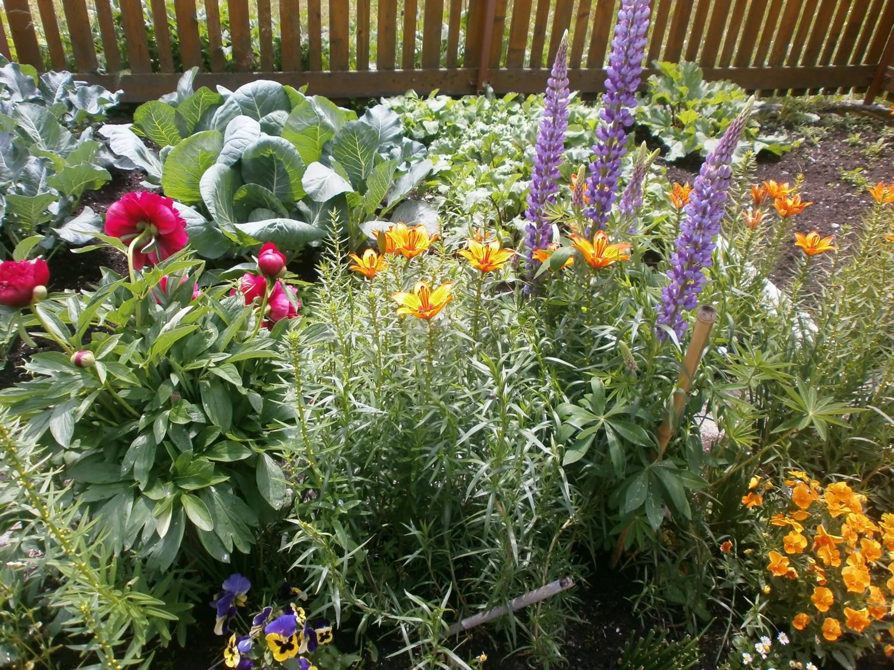 Spring in Haus Bödele