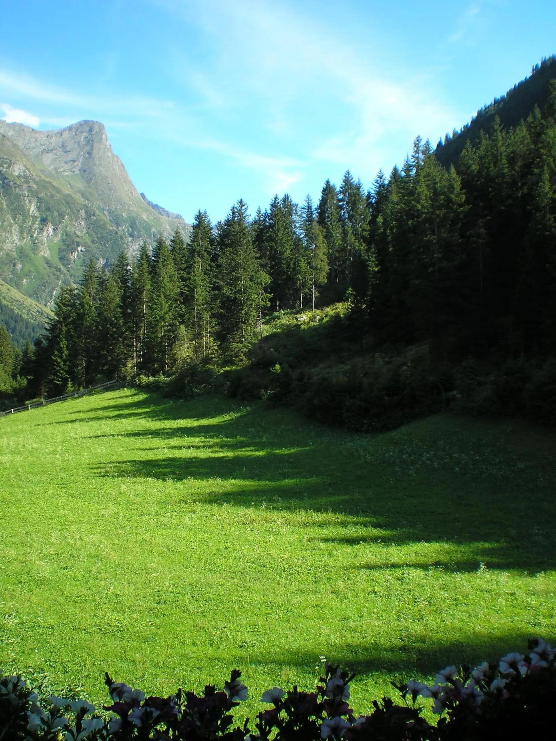 Natural landscape in Haus Bödele